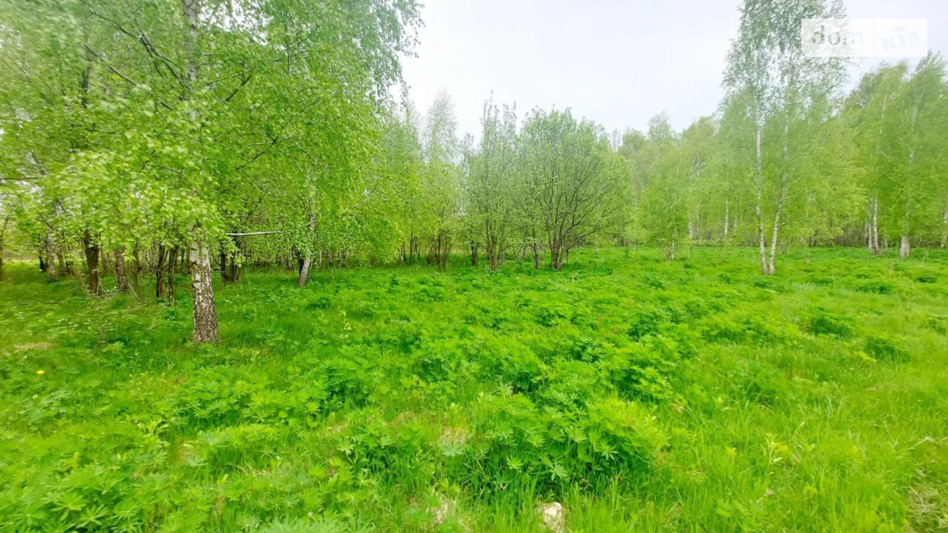 Продається земельна ділянка 18 соток у  області, цена: 8000 $ - фото 5