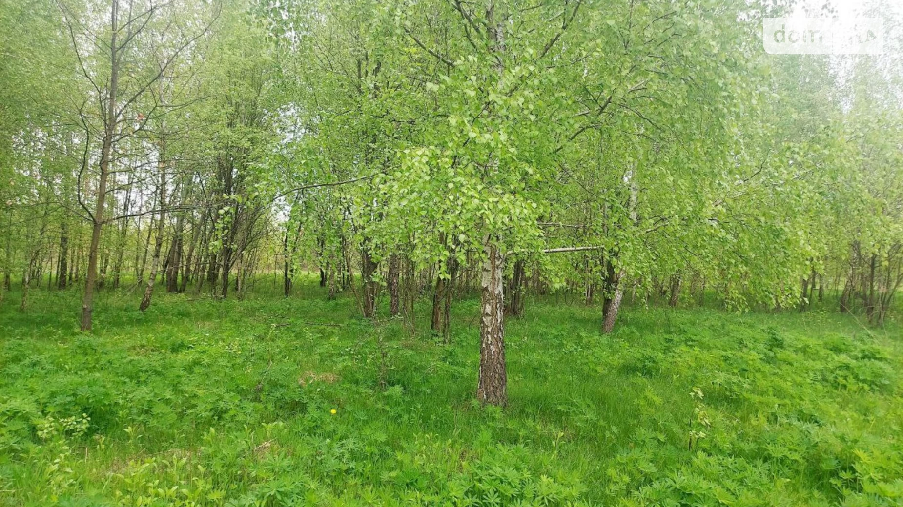 Продається земельна ділянка 18 соток у  області, цена: 8000 $ - фото 2