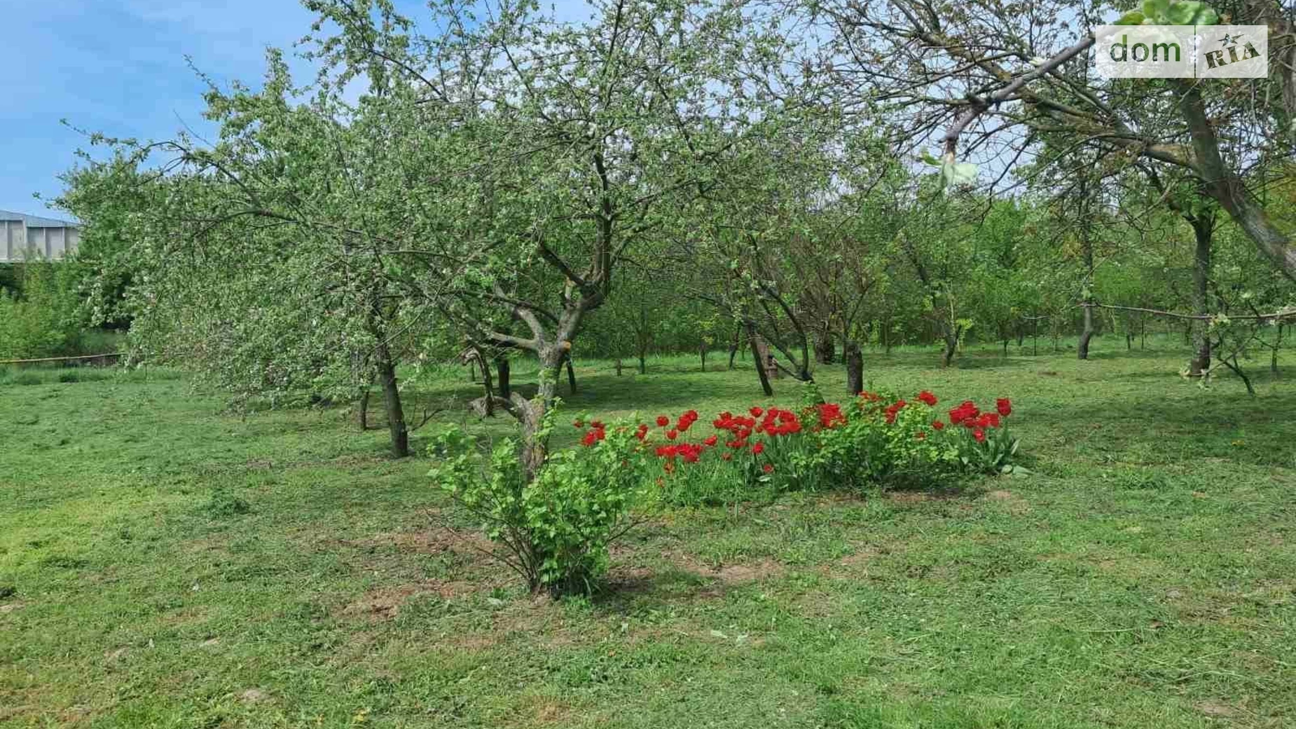 пров. Леніна Перемога Бровари, цена: 40000 $ - фото 3