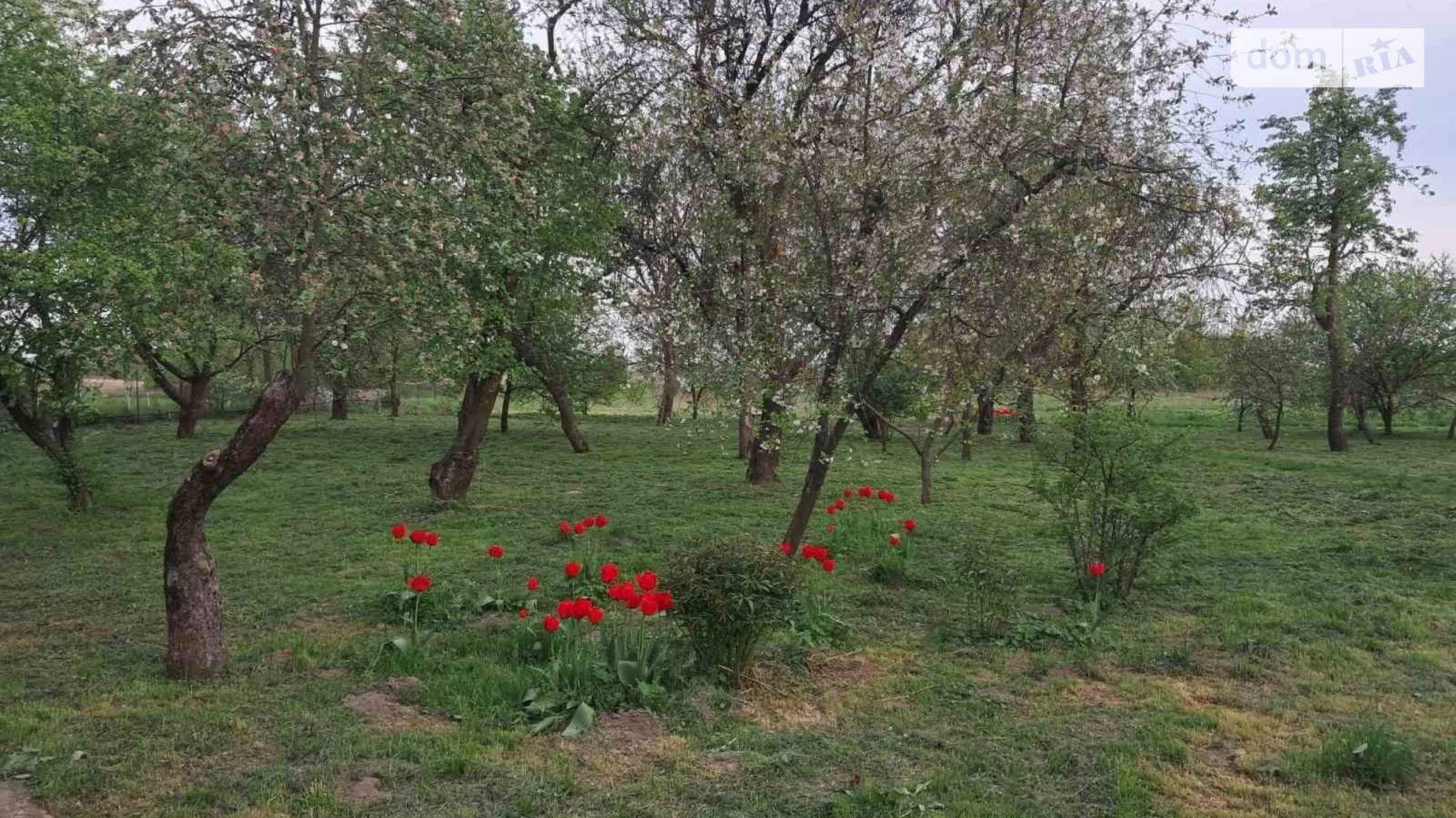 пров. Леніна Перемога Бровари, цена: 40000 $ - фото 4