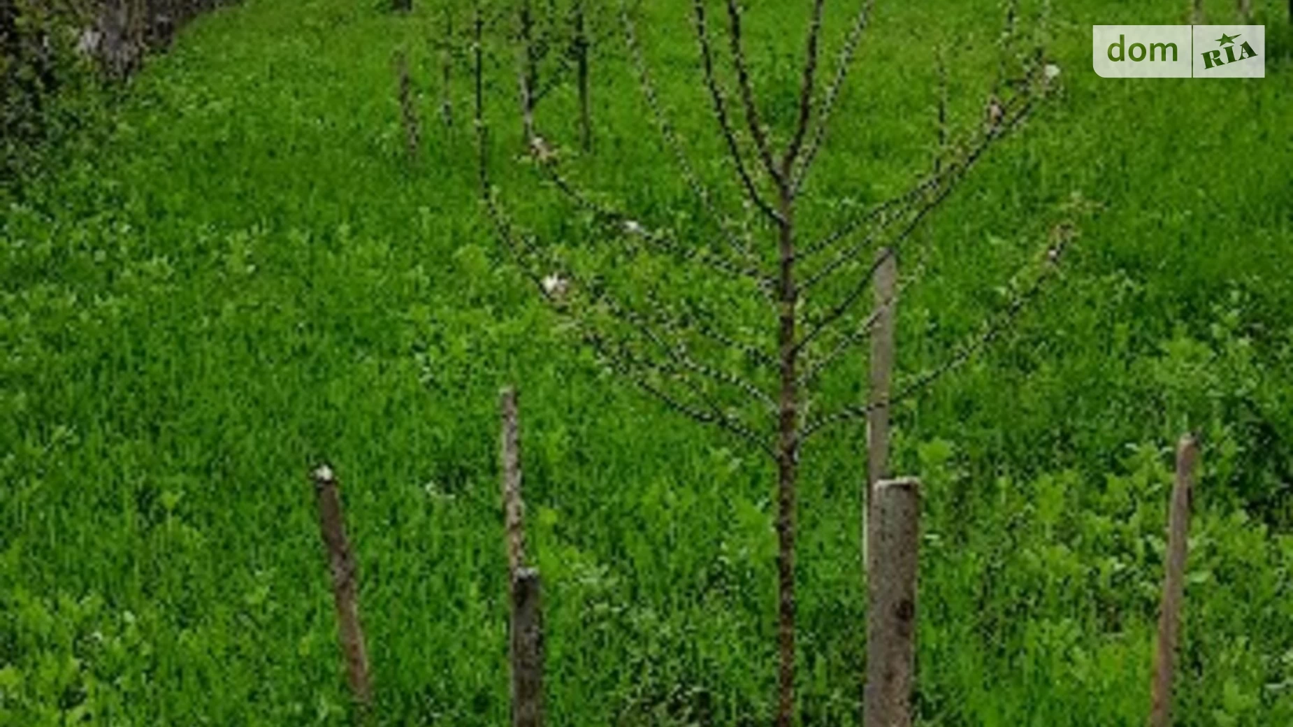 Продається земельна ділянка 29.99 соток у Київській області, цена: 6400 $ - фото 4