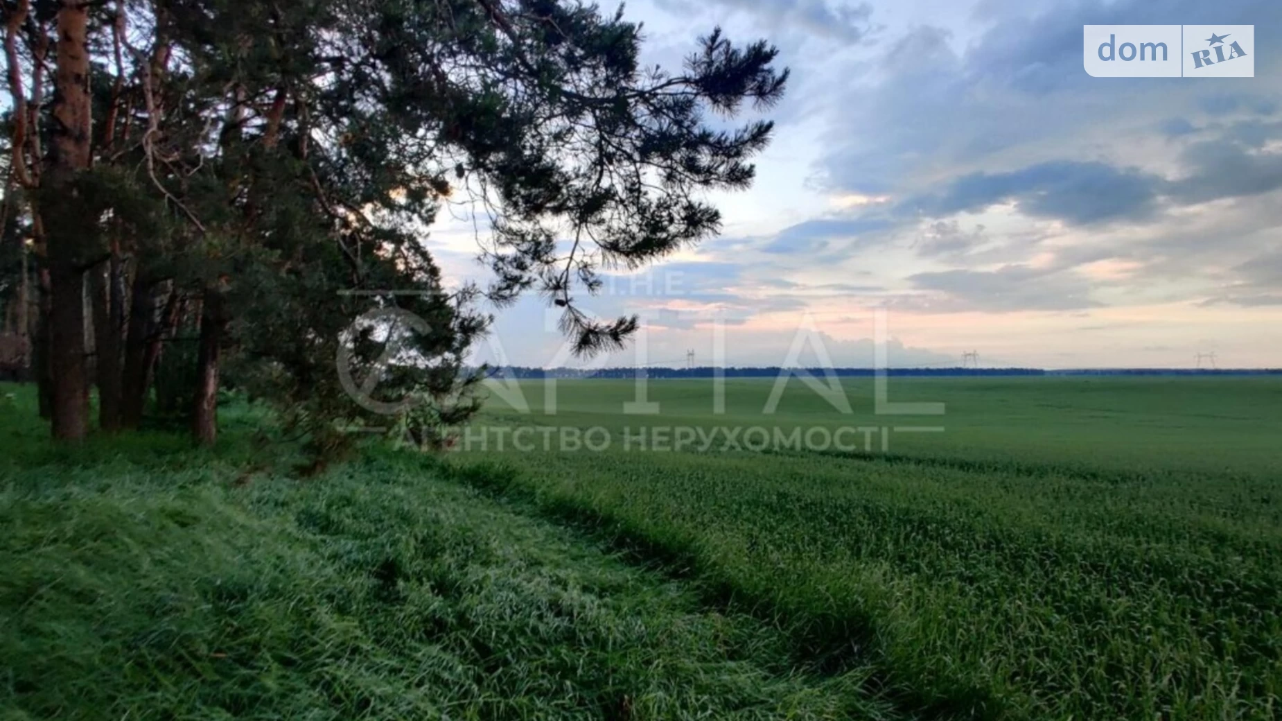 Продается земельный участок 585 соток в Киевской области, цена: 160000 $ - фото 2