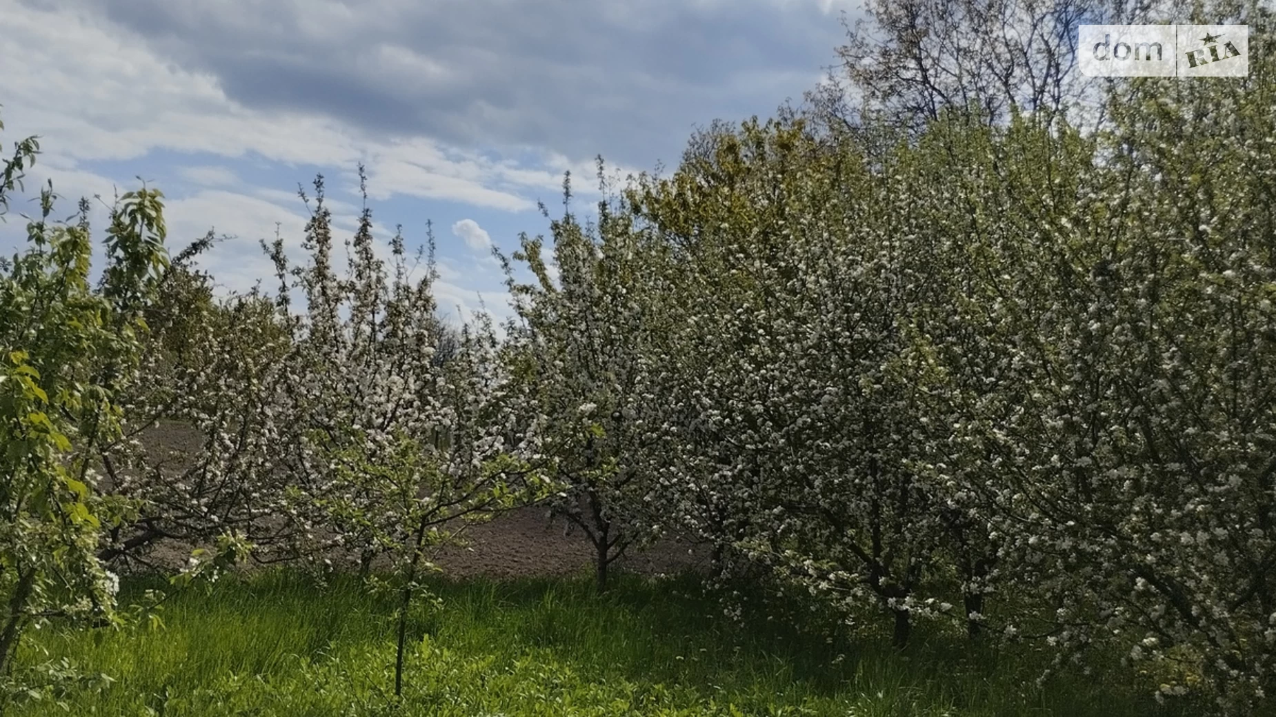 ул. Леси Украинки Винницкие Хутора, цена: 60000 $ - фото 4