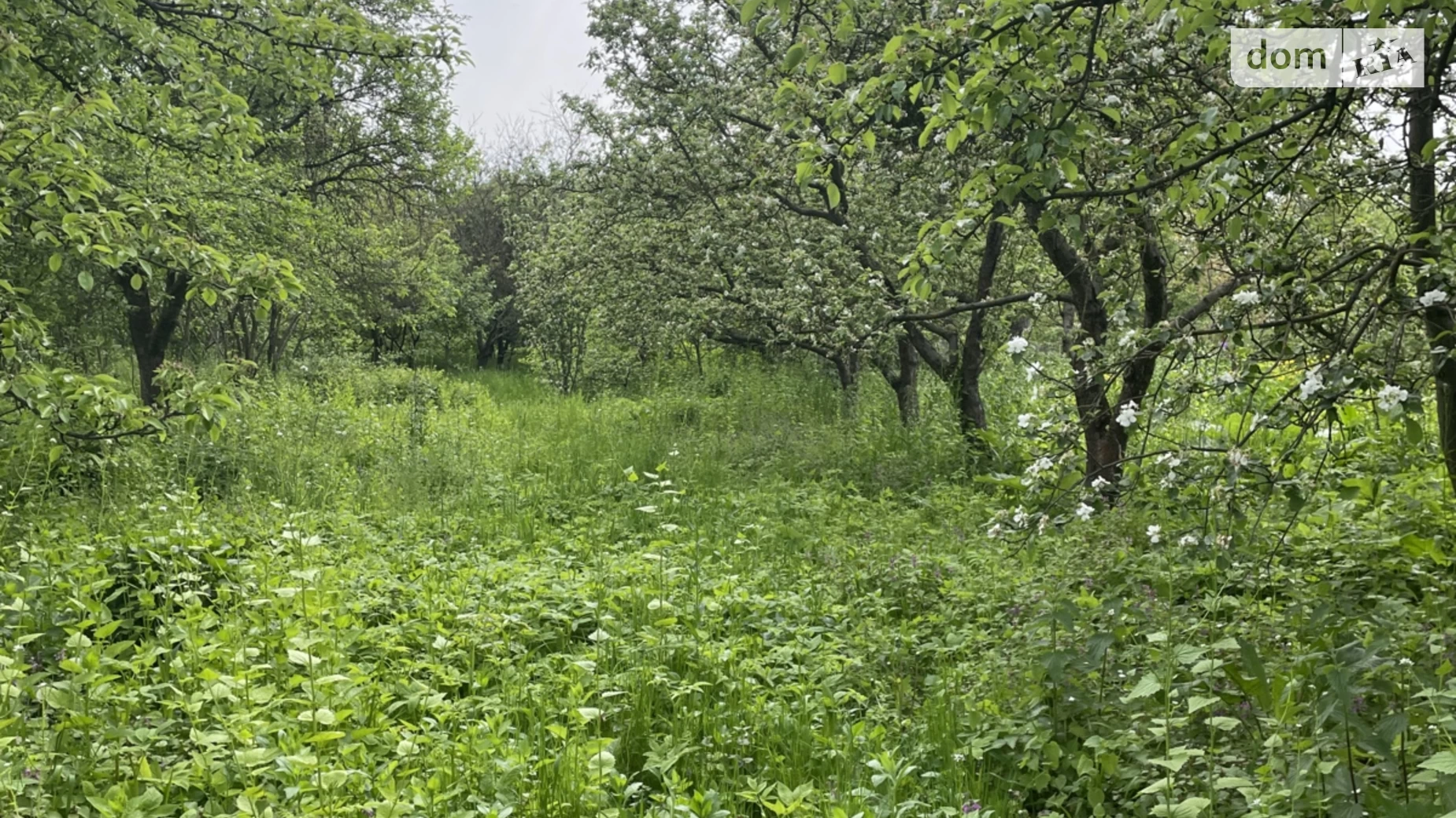 Продається одноповерховий будинок 30 кв. м з каміном, вул. Коцюбинського, 1