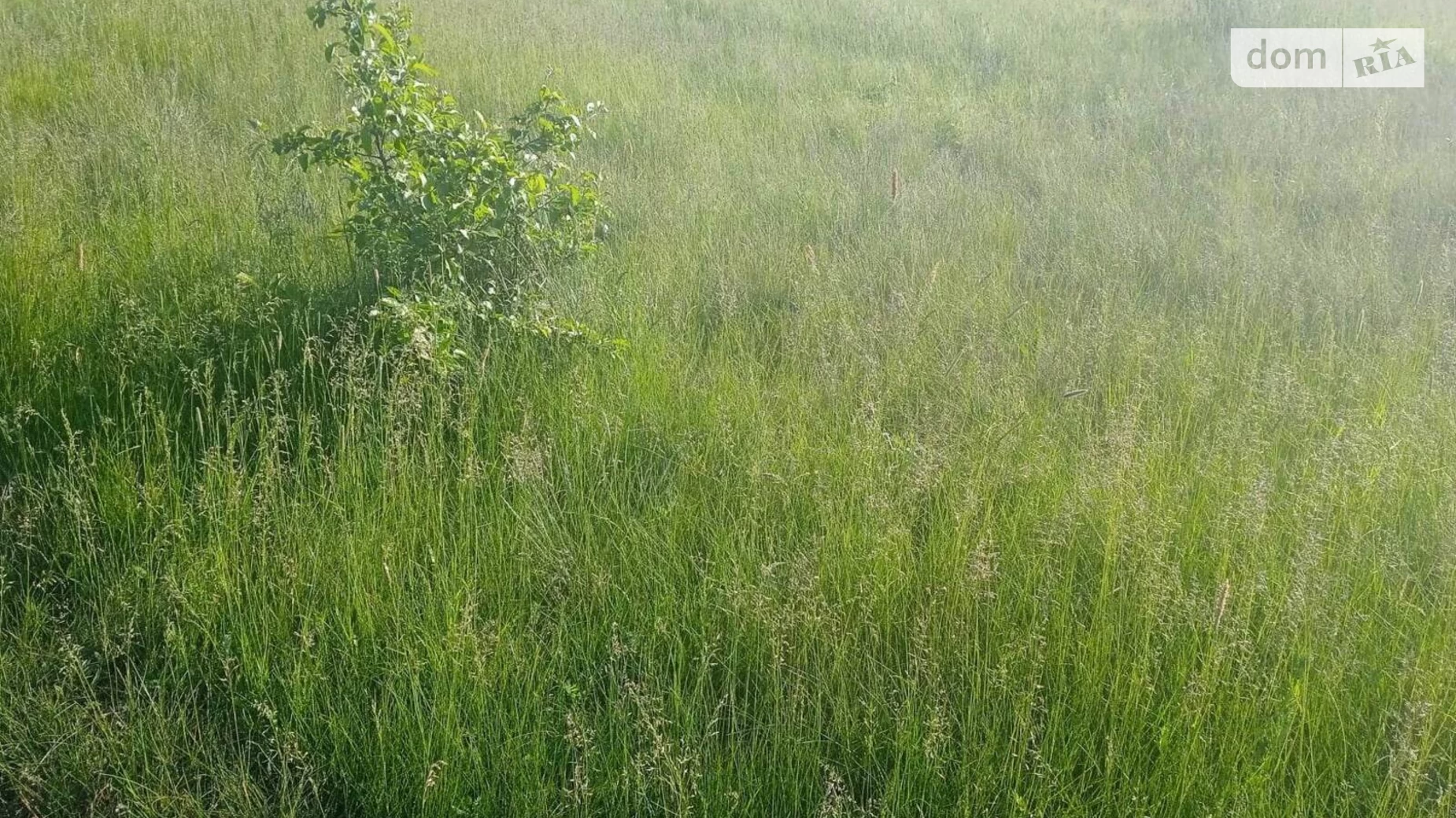 Продається земельна ділянка 150 соток у Закарпатській області, цена: 57099 $ - фото 3