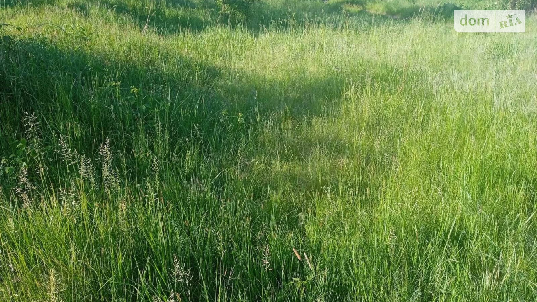 Продається земельна ділянка 150 соток у Закарпатській області, цена: 57099 $ - фото 4