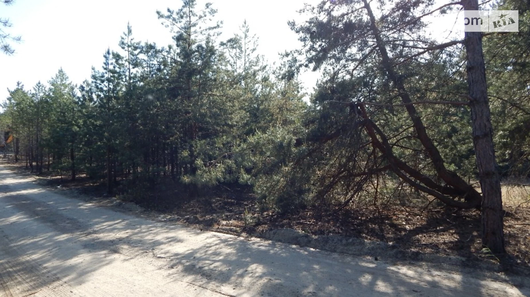 вул. Сагайдачного  Лебедівка, цена: 210000 $ - фото 4