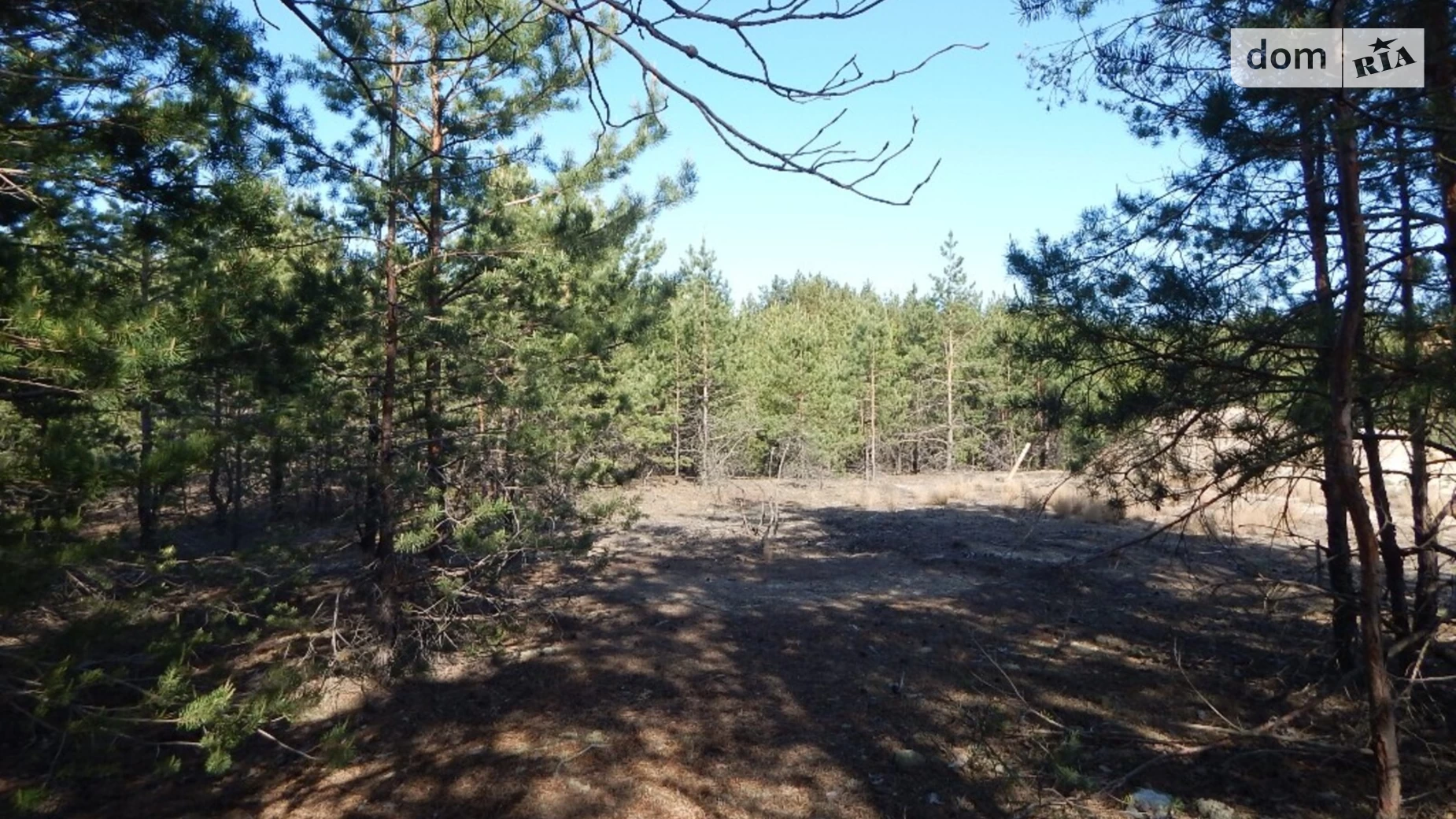 вул. Сагайдачного  Лебедівка, цена: 290000 $ - фото 5