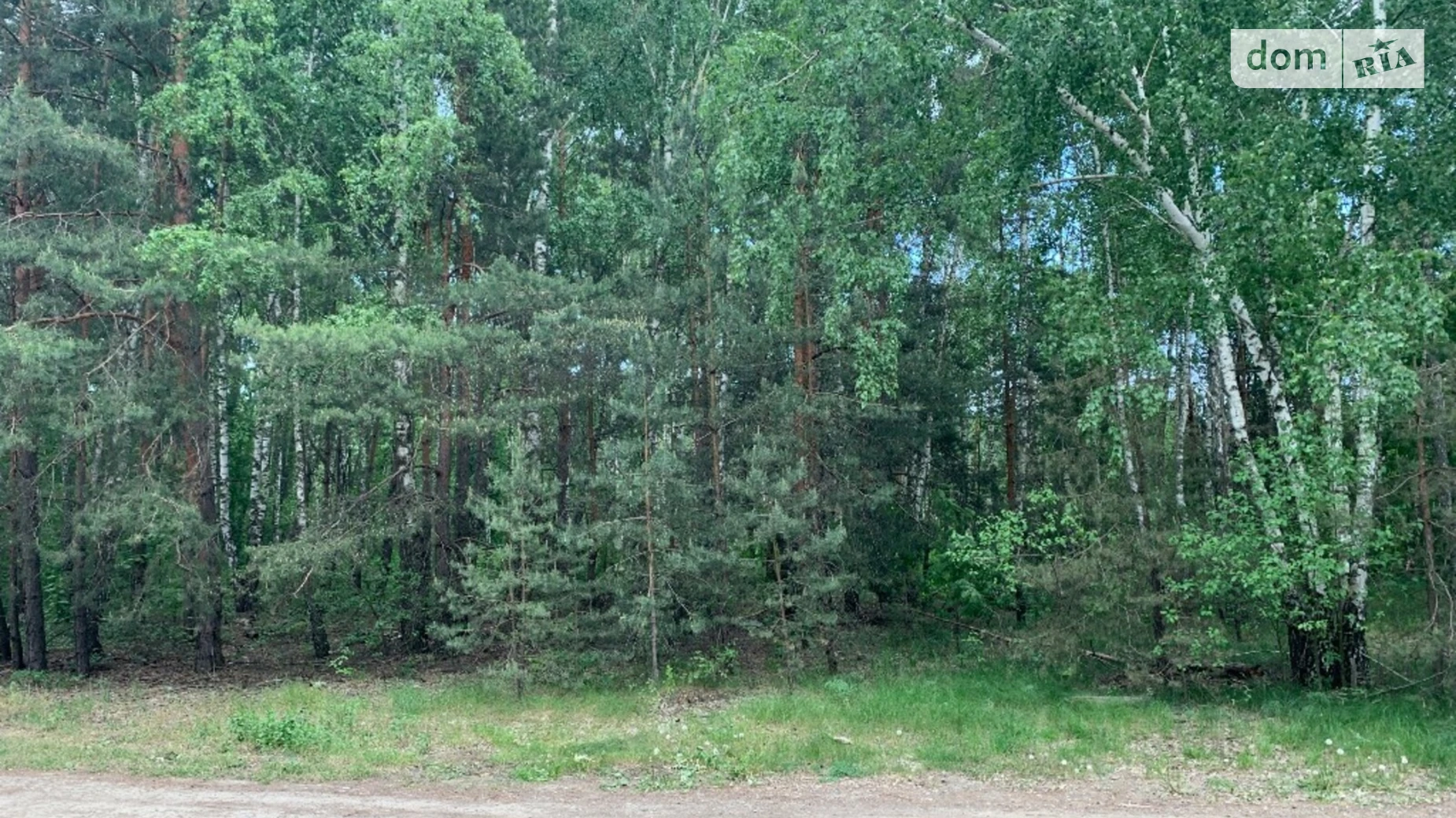 Продается земельный участок 12 соток в Киевской области, цена: 24000 $ - фото 4