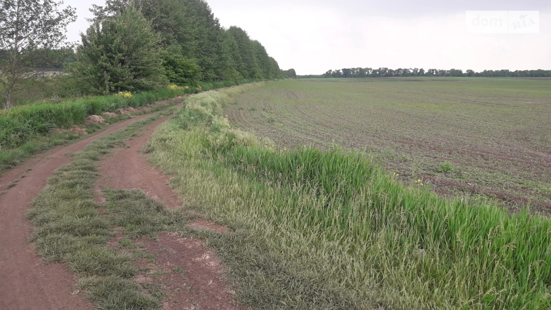 вул. Марцелія Високінського Тяжилів Вінниця, цена: 40000 $ - фото 3