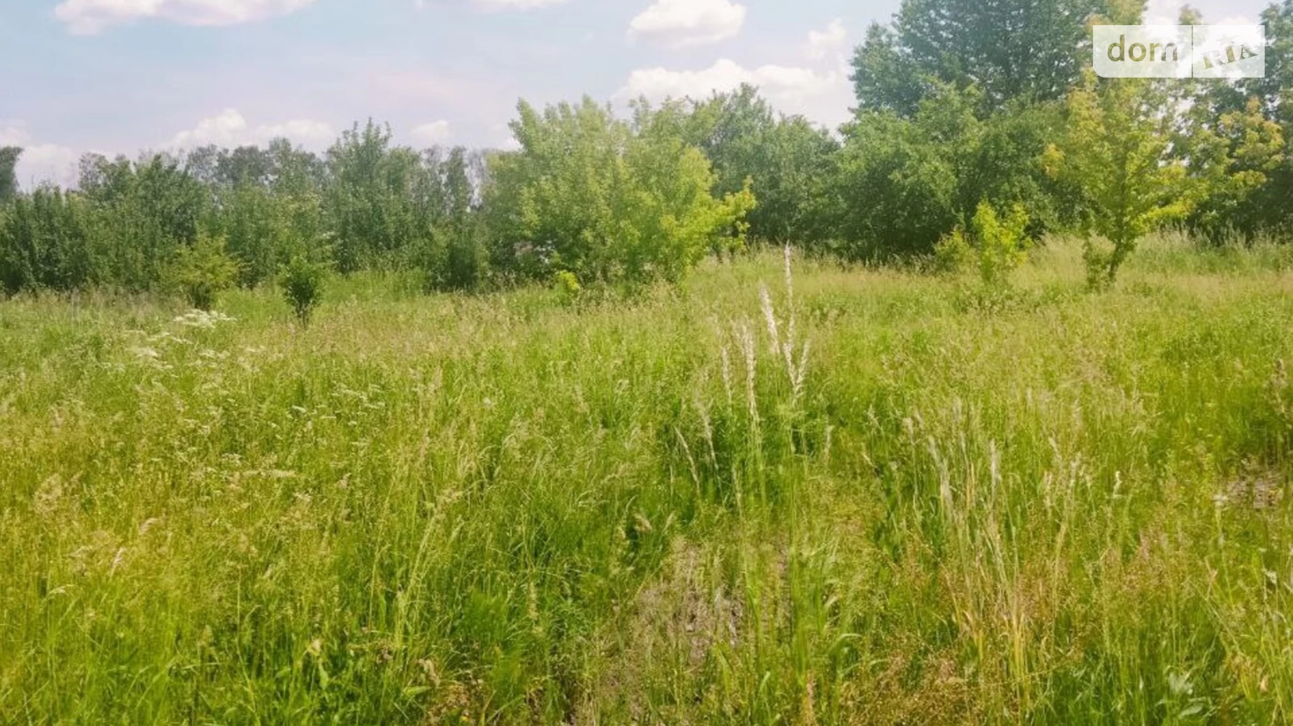 Продается земельный участок 24.3 соток в  области, цена: 10500 $ - фото 2