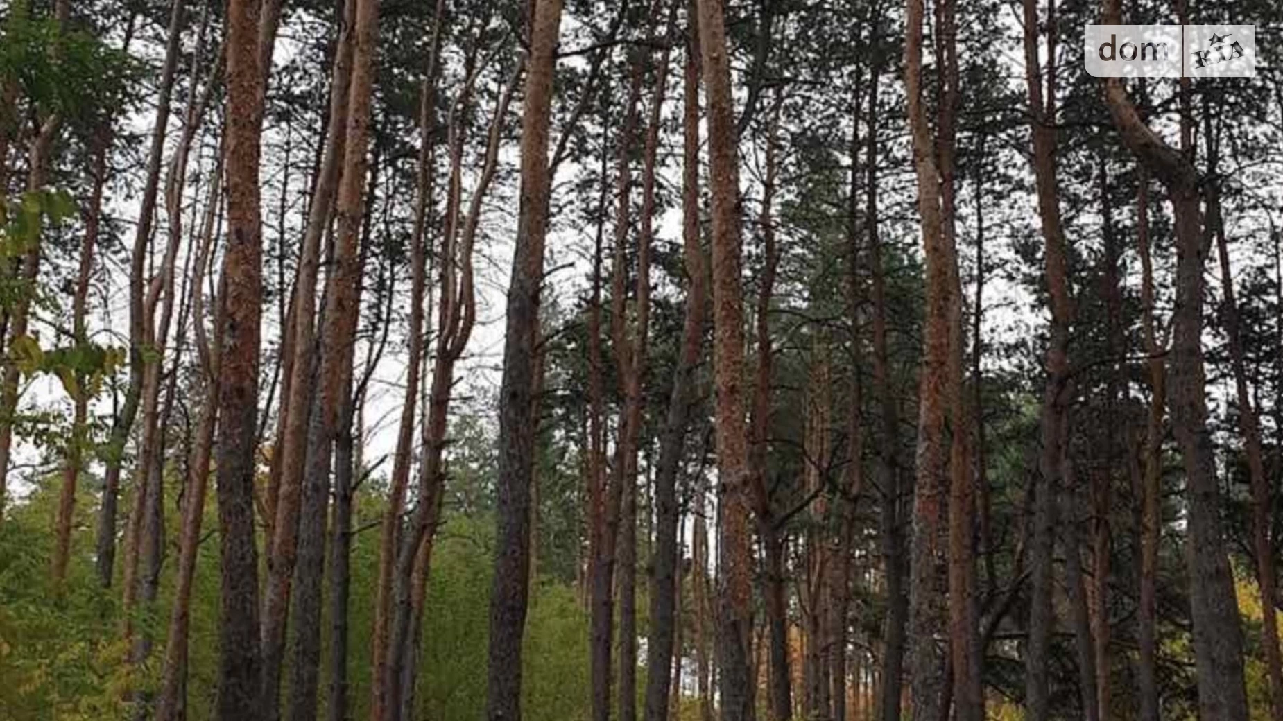 Продається земельна ділянка 6.4 соток у Дніпропетровській області, цена: 18000 $ - фото 4