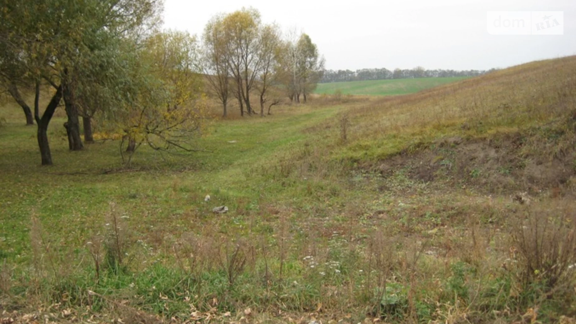 Степок (Обухів), цена: 40000 $ - фото 4
