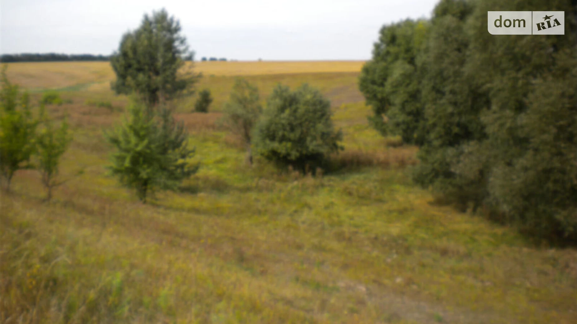 Степок (Обухів), цена: 40000 $ - фото 5