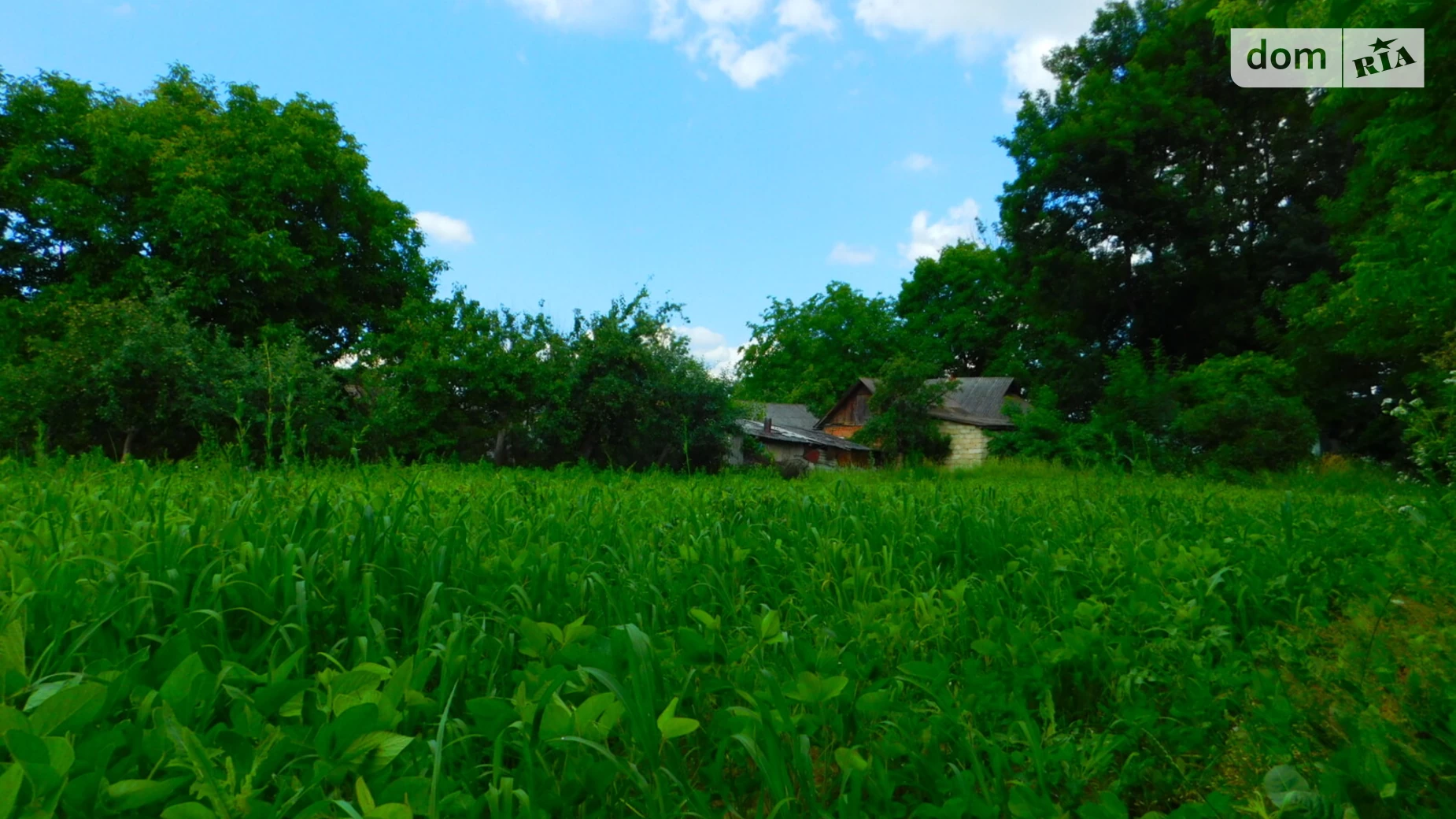 Продается земельный участок 31 соток в Винницкой области, цена: 19000 $ - фото 5