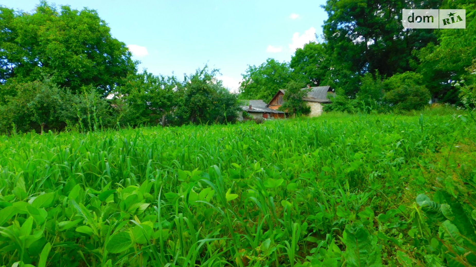 Продается земельный участок 31 соток в Винницкой области, цена: 19000 $ - фото 4