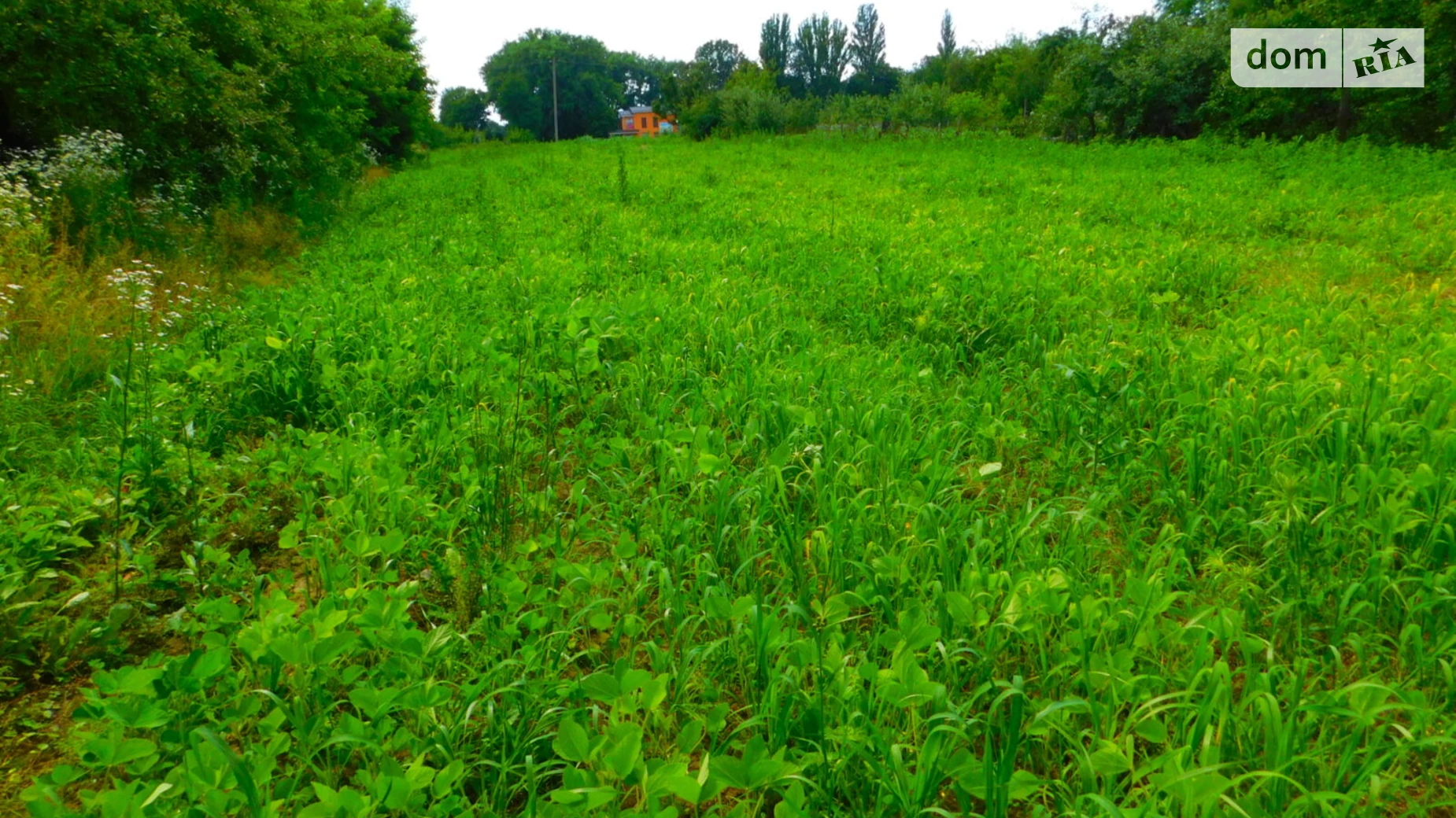 Продается земельный участок 31 соток в Винницкой области, цена: 19000 $ - фото 3