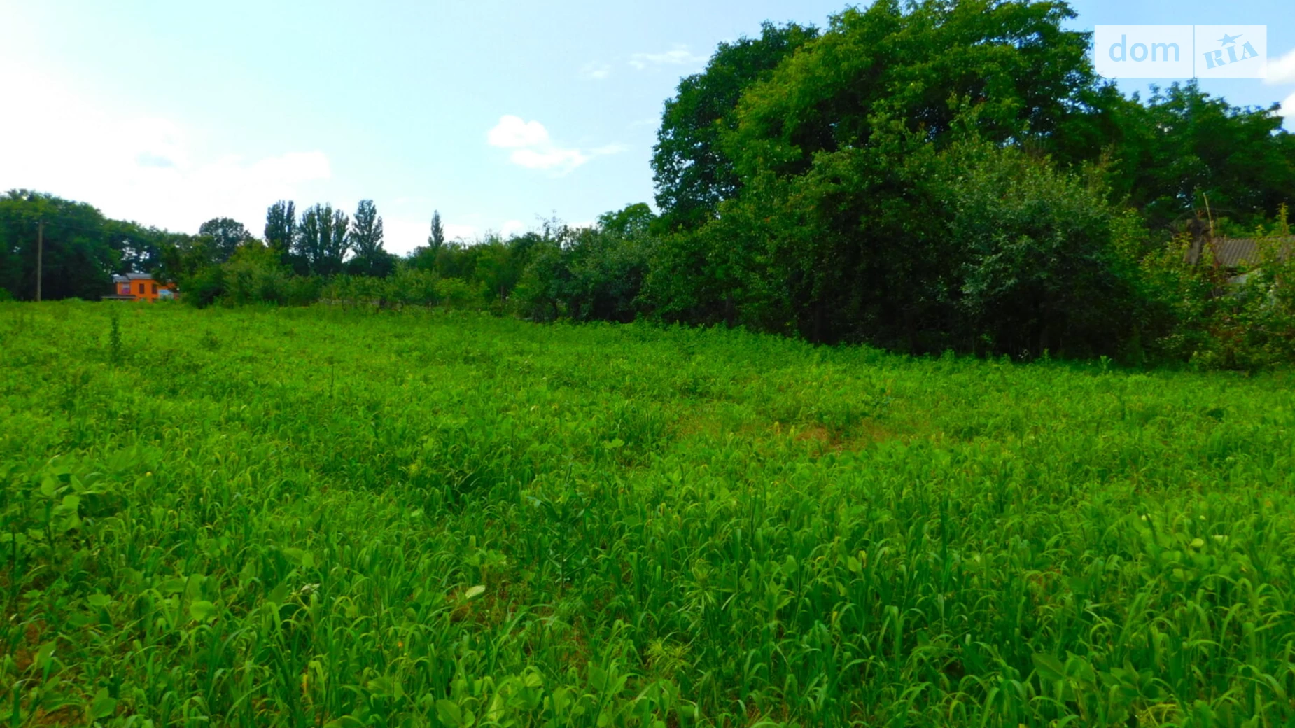 Продается земельный участок 31 соток в Винницкой области, цена: 19000 $ - фото 2