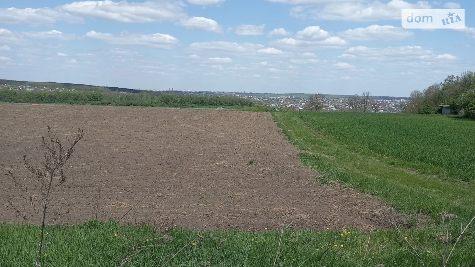 Продається земельна ділянка 12 соток у Тернопільській області, цена: 10000 $ - фото 2