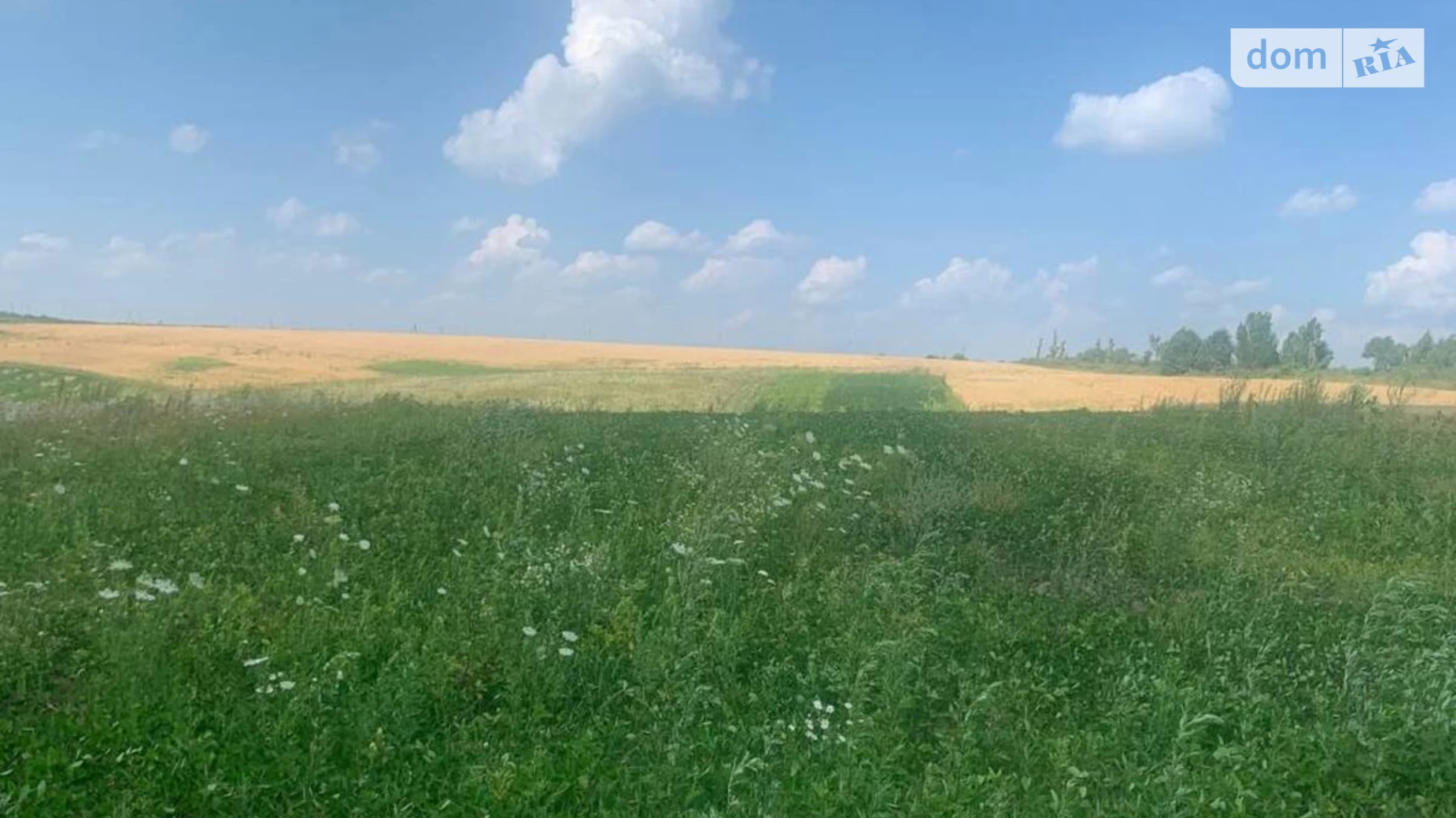 Продається земельна ділянка 9.7 соток у Хмельницькій області, цена: 7000 $ - фото 4