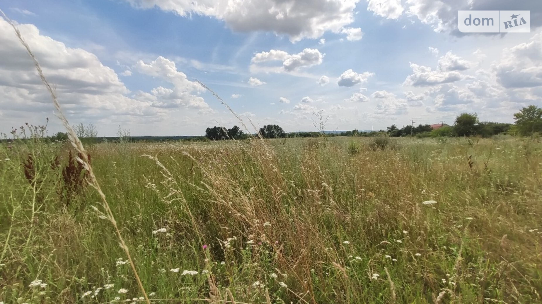 вул. Мічуріна Рівець, цена: 8000 $ - фото 5