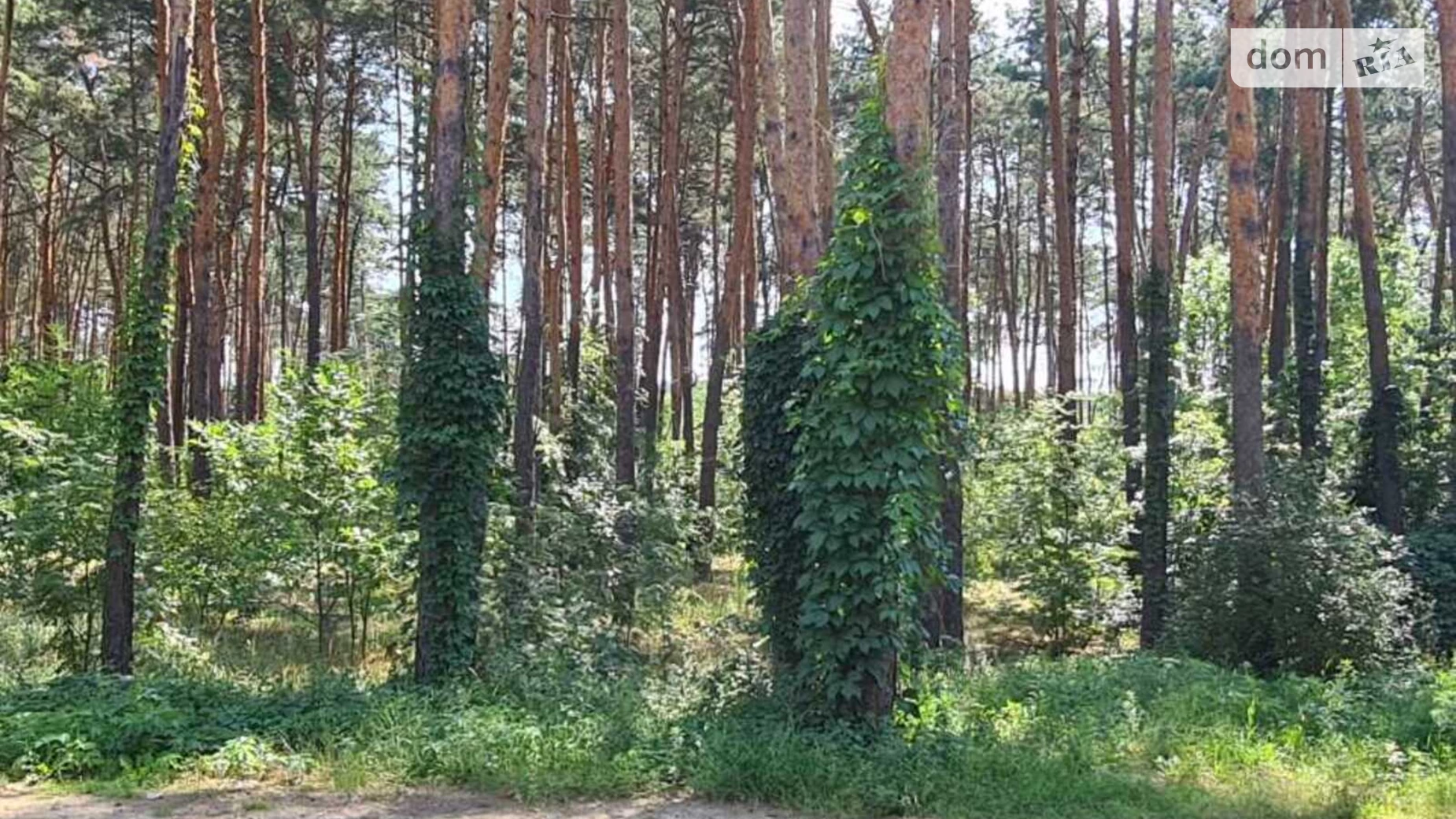 ул. Радистов, 34Н Деснянский,Киев ЖК Лесная сказка Лесная