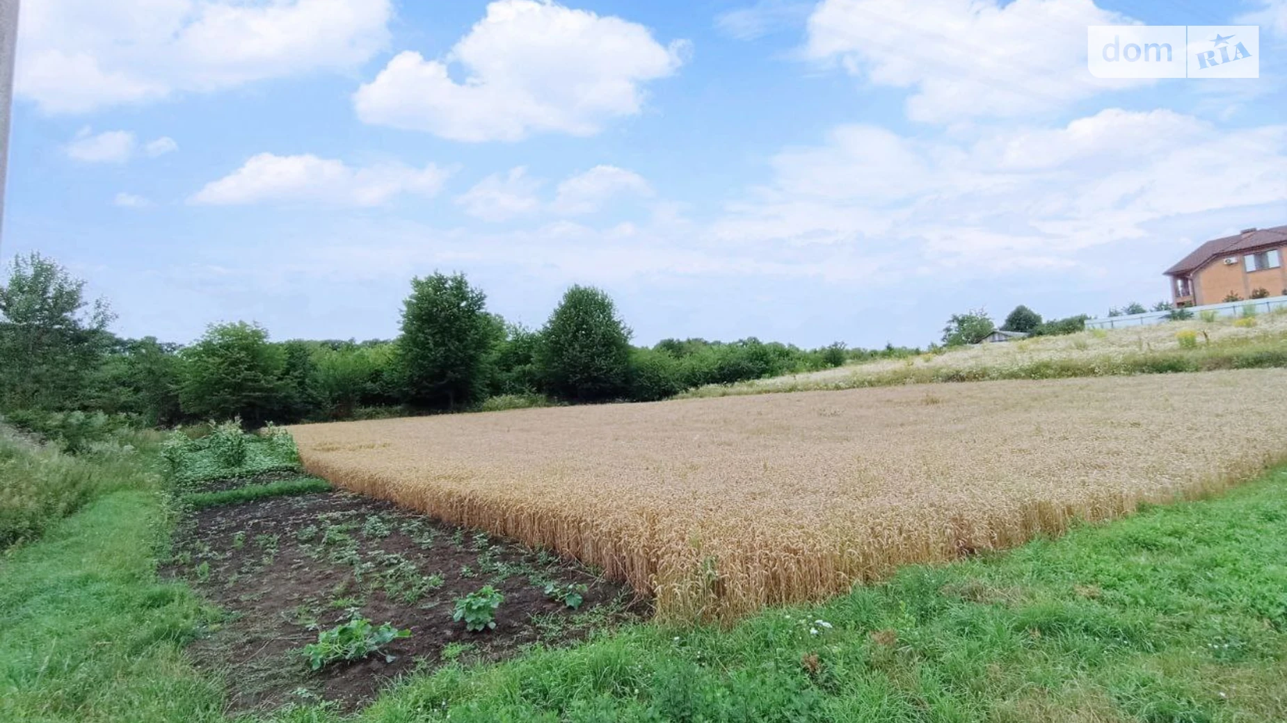 Продается земельный участок 30 соток в Хмельницкой области, цена: 15000 $ - фото 5