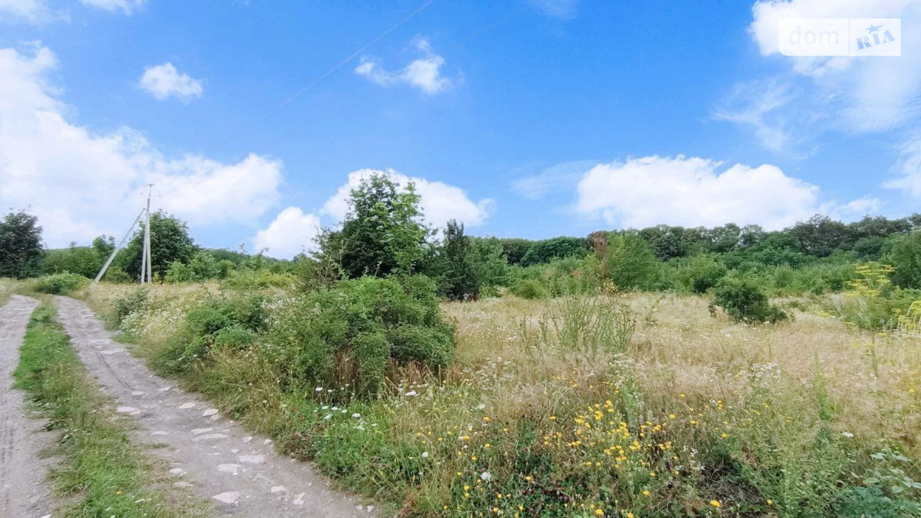 Продается земельный участок 20 соток в Хмельницкой области, цена: 12000 $ - фото 5