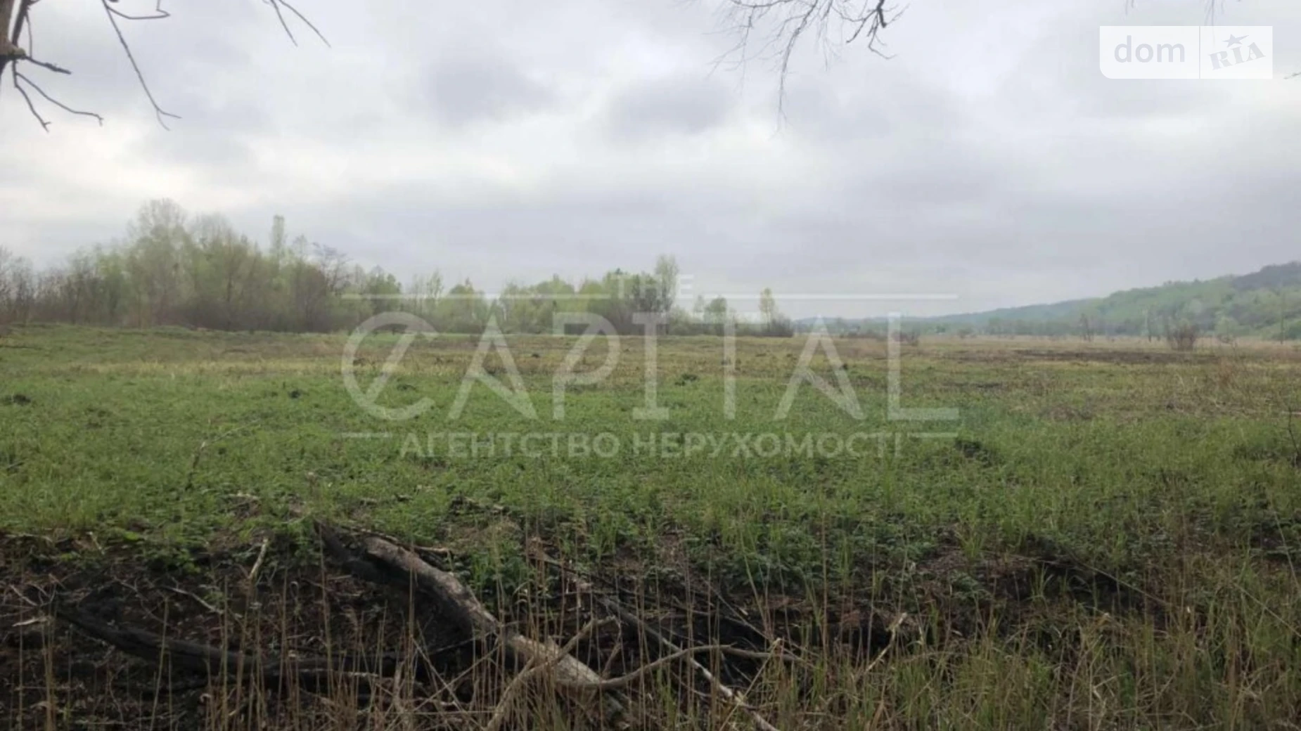 Ходосовка Ходосовка (Киево-Святошинский), цена: 3200000 $ - фото 2
