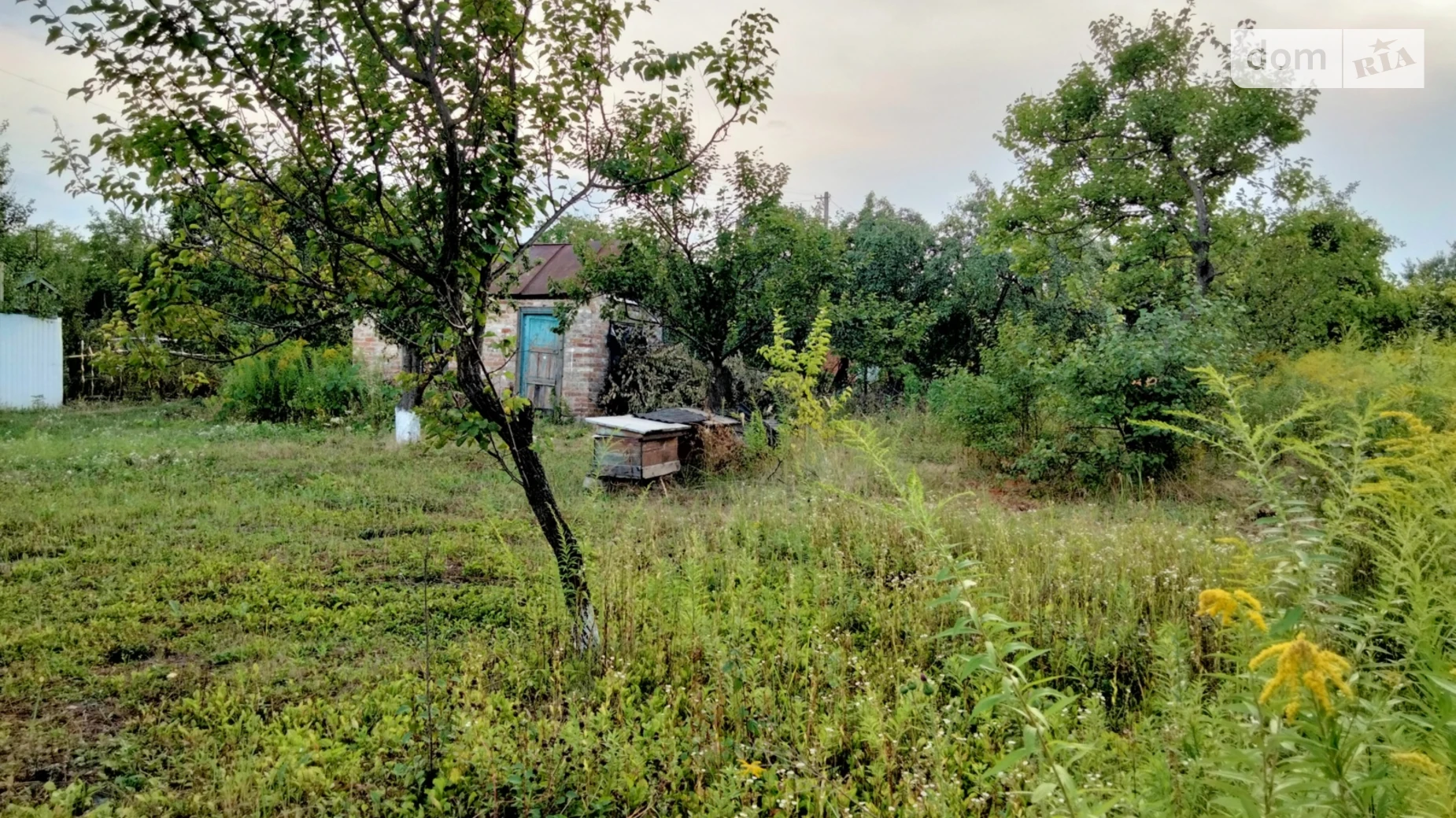 Продается земельный участок 5 соток в Днепропетровской области, цена: 2500 $ - фото 3