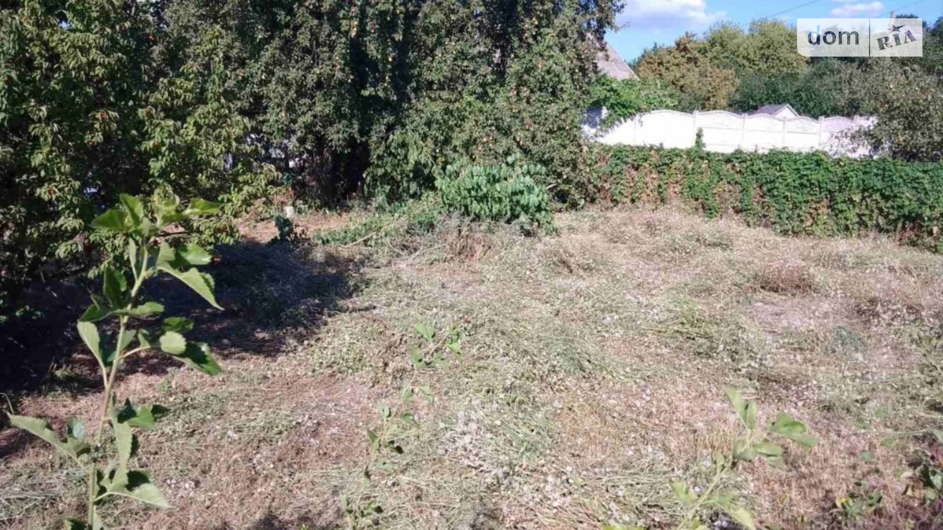 Продається одноповерховий будинок 25 кв. м з садом, цена: 13000 $ - фото 3