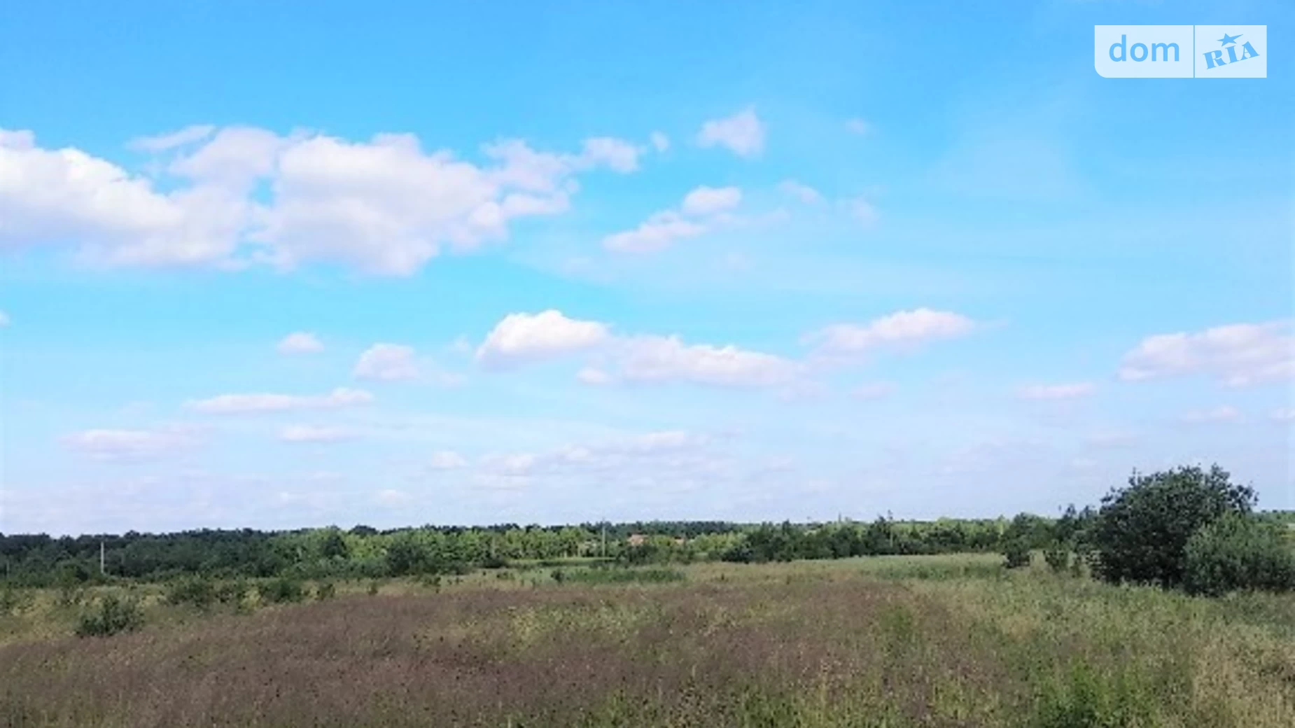 Вовковою Оленю за урочище Черніїв (Івано-Франківськ), цена: 12000 $ - фото 5