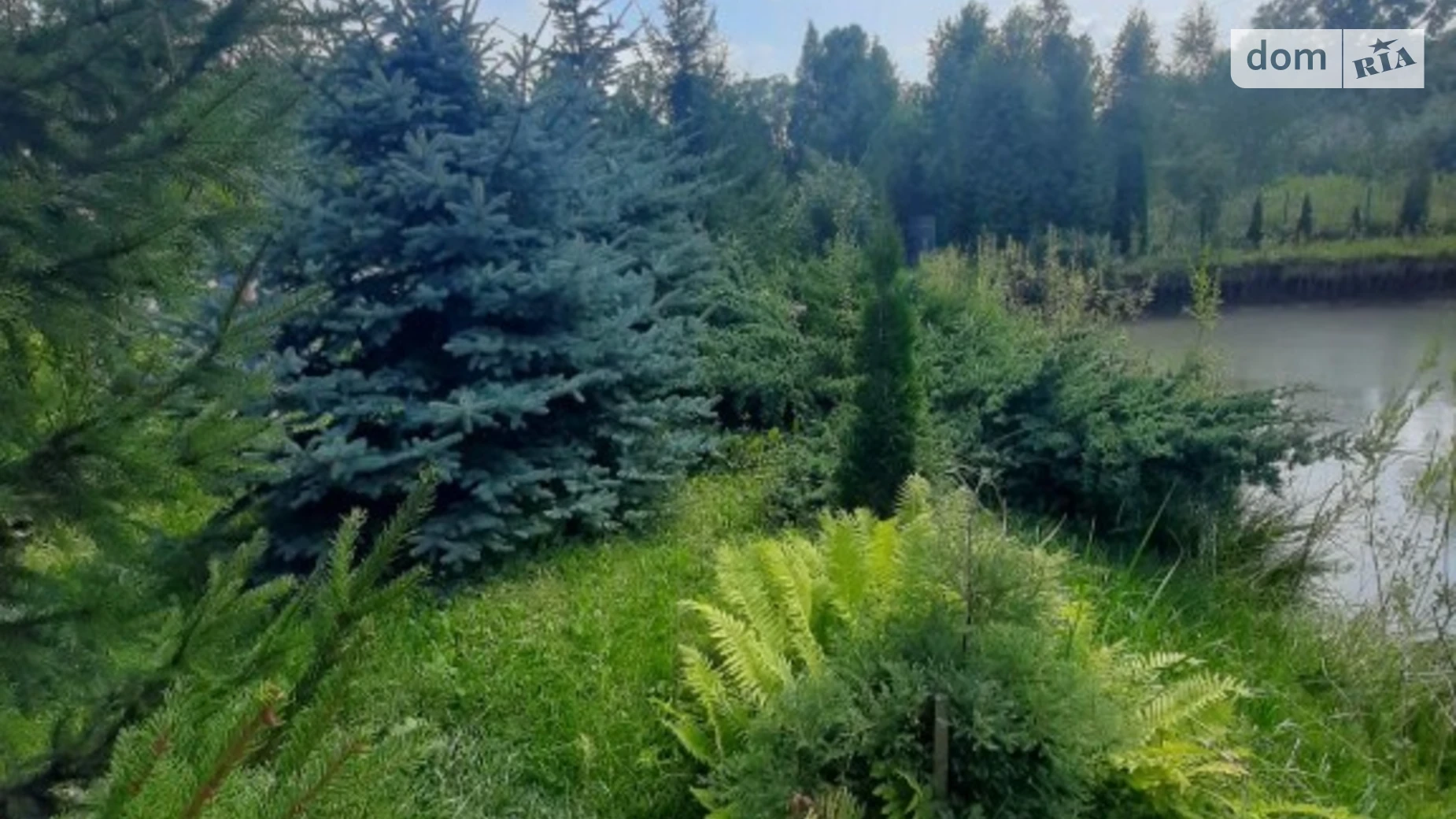 Продается одноэтажный дом 81 кв. м с балконом, цена: 140000 $ - фото 3