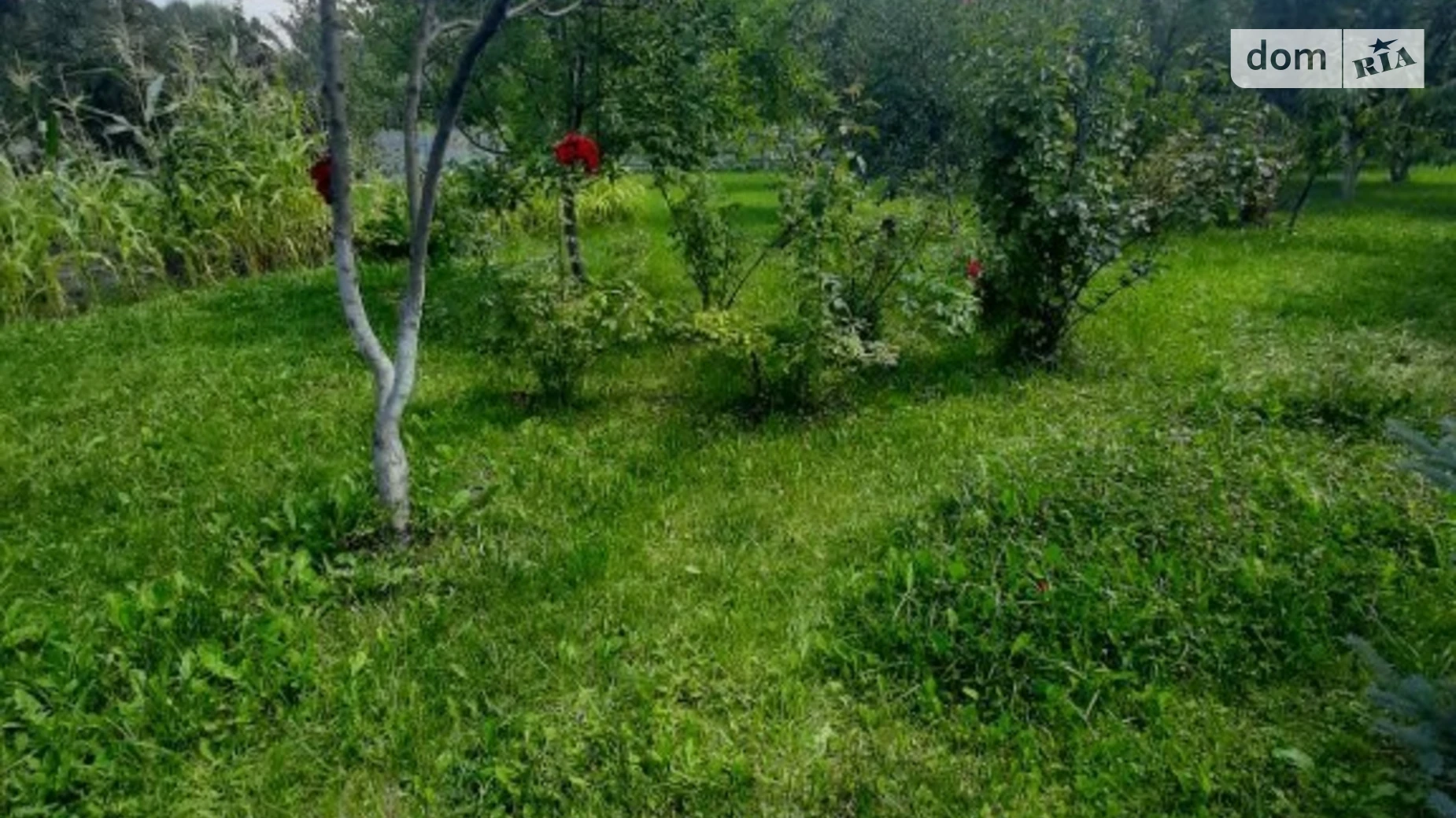 Продается одноэтажный дом 81 кв. м с балконом, цена: 140000 $ - фото 5