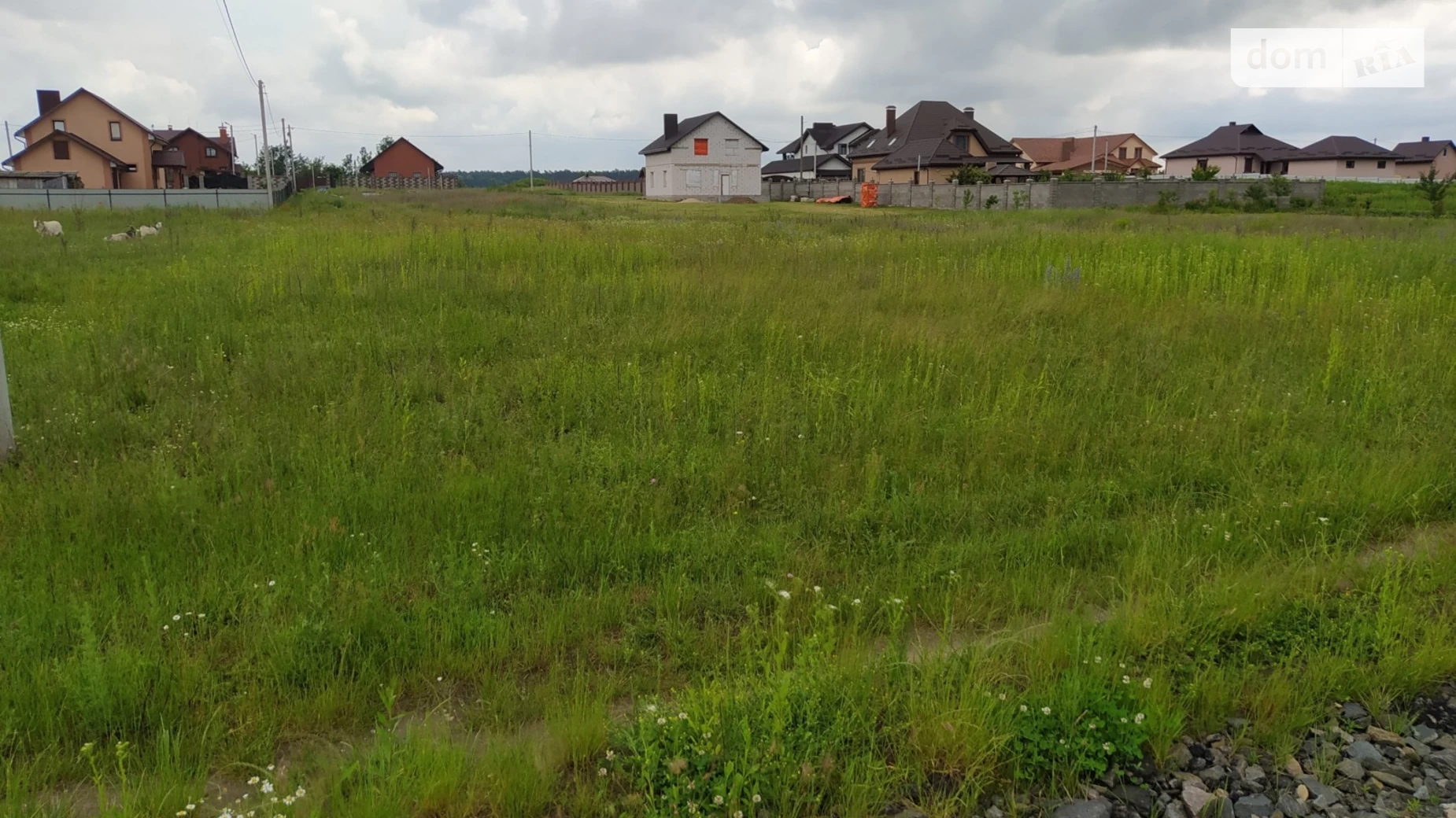 Продається земельна ділянка 15 соток у Рівненській області, цена: 13000 $ - фото 2