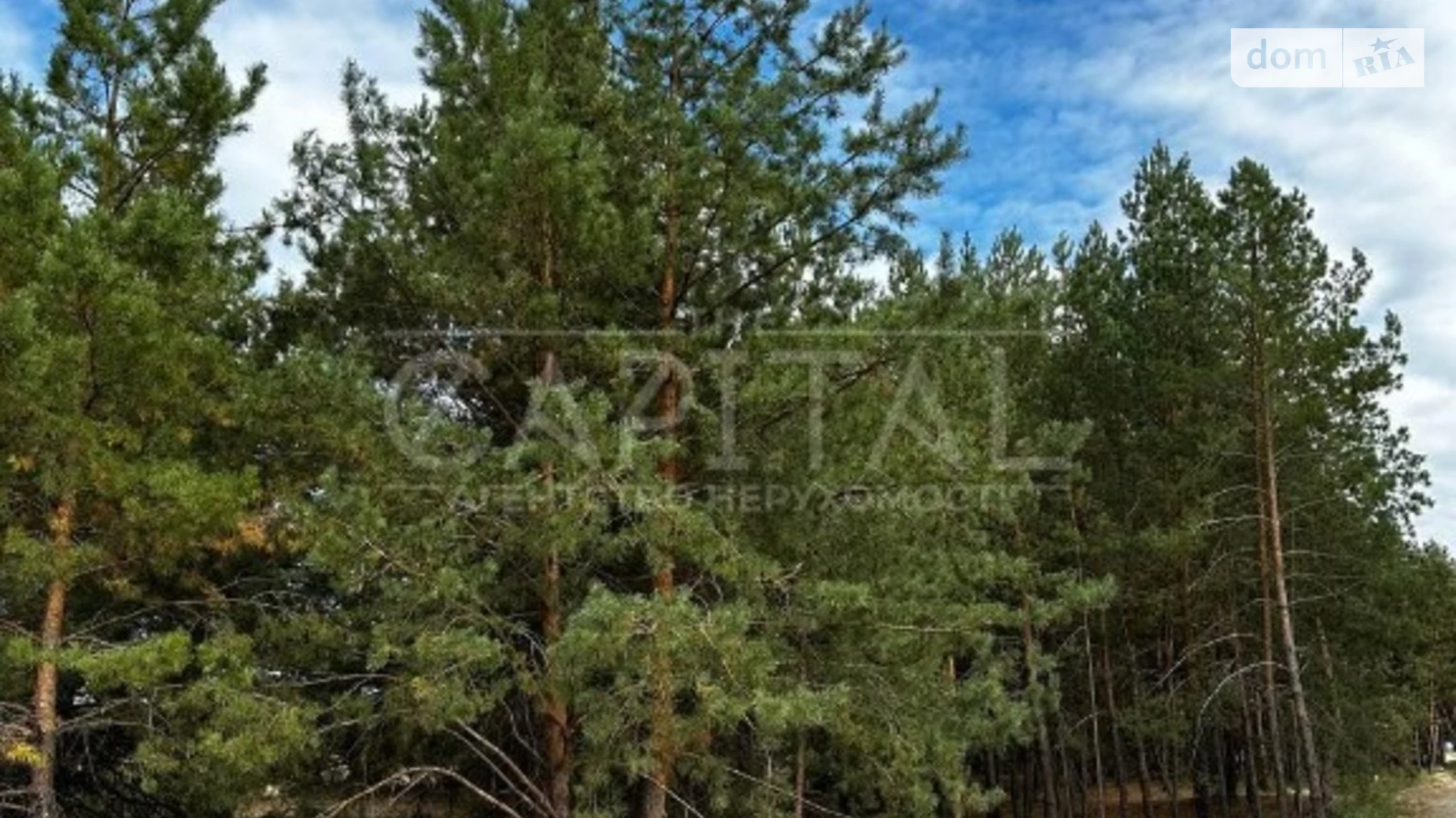 Продается земельный участок 12.4 соток в Киевской области, цена: 205000 $ - фото 4