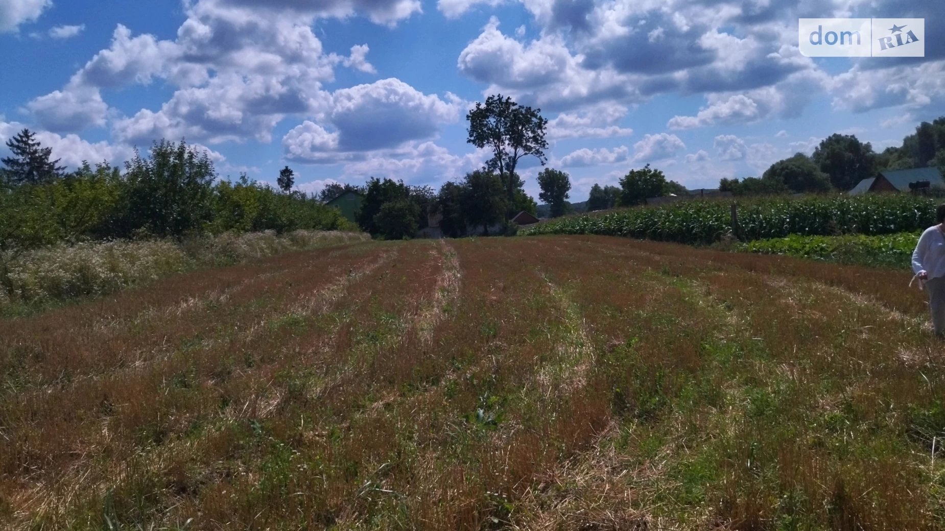 Продається земельна ділянка 25 соток у Хмельницькій області, цена: 12500 $ - фото 5