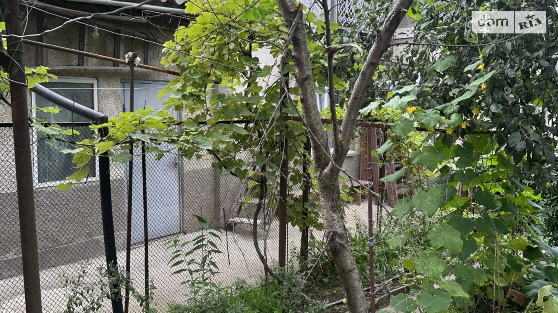 Продается часть дома 54 кв. м с беседкой, цена: 51500 $ - фото 5