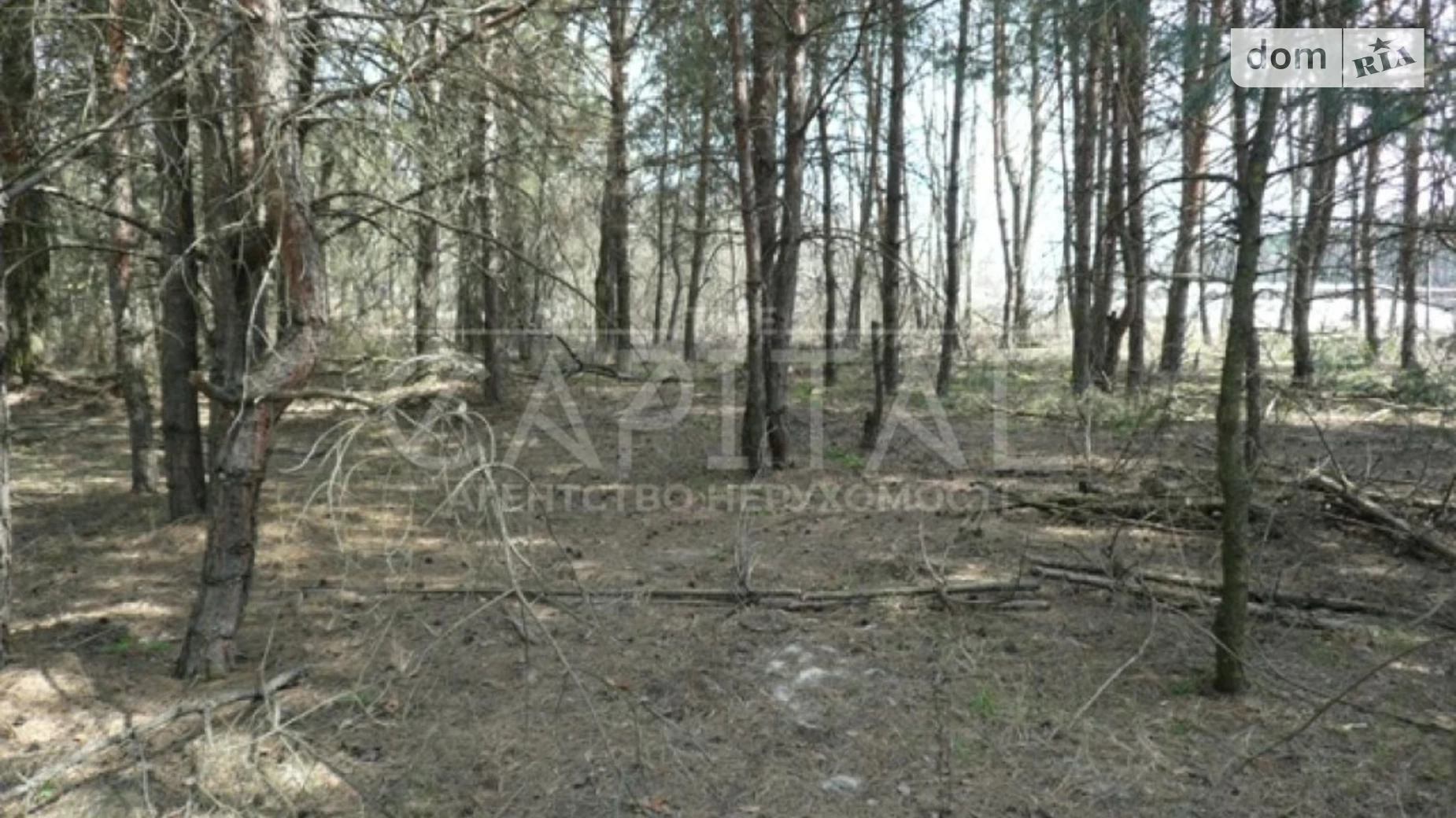 Продається земельна ділянка 1 соток у Київській області, цена: 600000 $ - фото 2