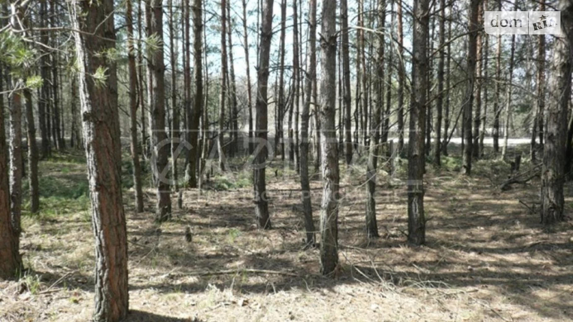 Продається земельна ділянка 1 соток у Київській області, цена: 600000 $ - фото 3