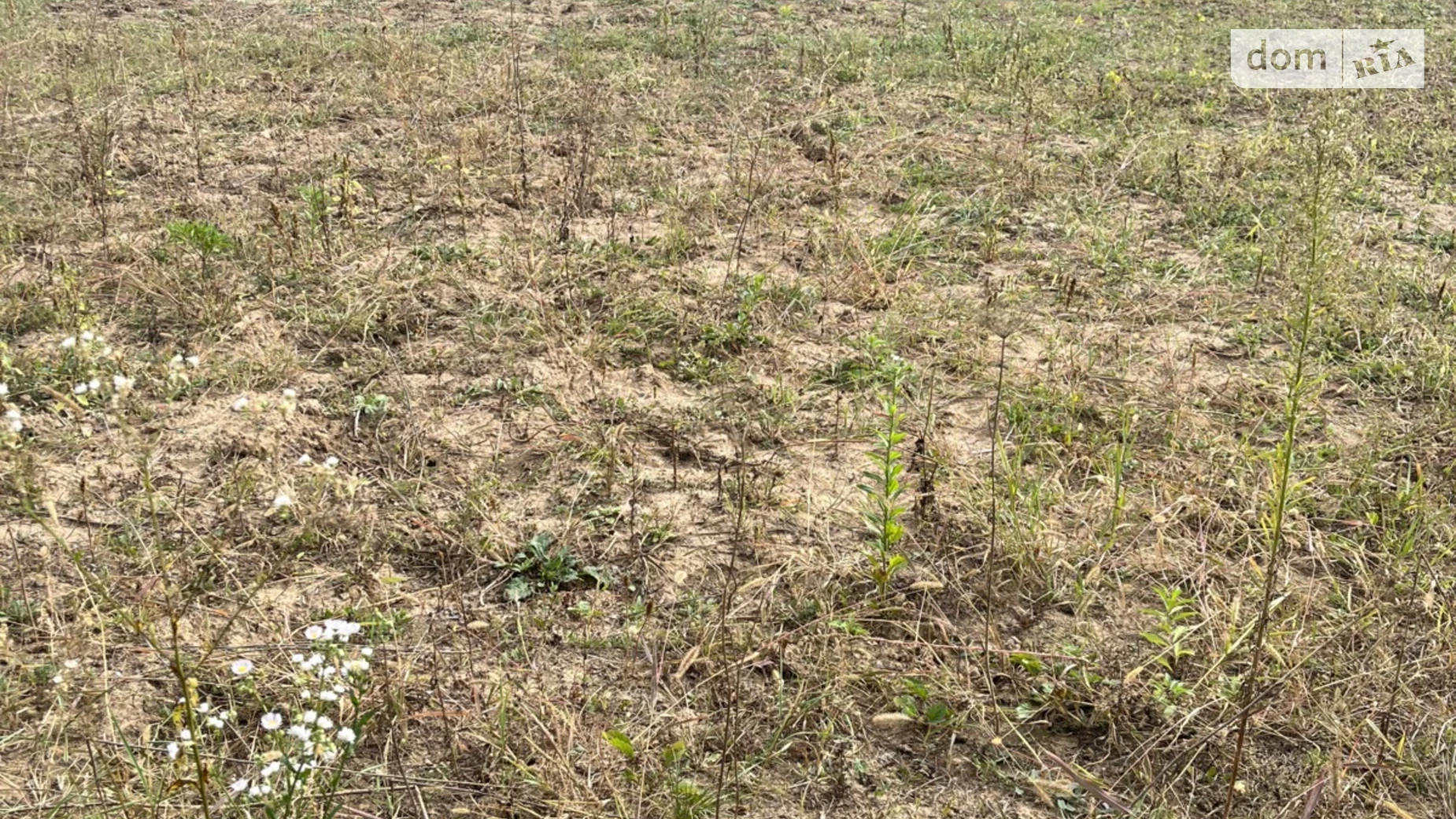 Продается земельный участок 6 соток в Тернопольской области, цена: 2800 $ - фото 4