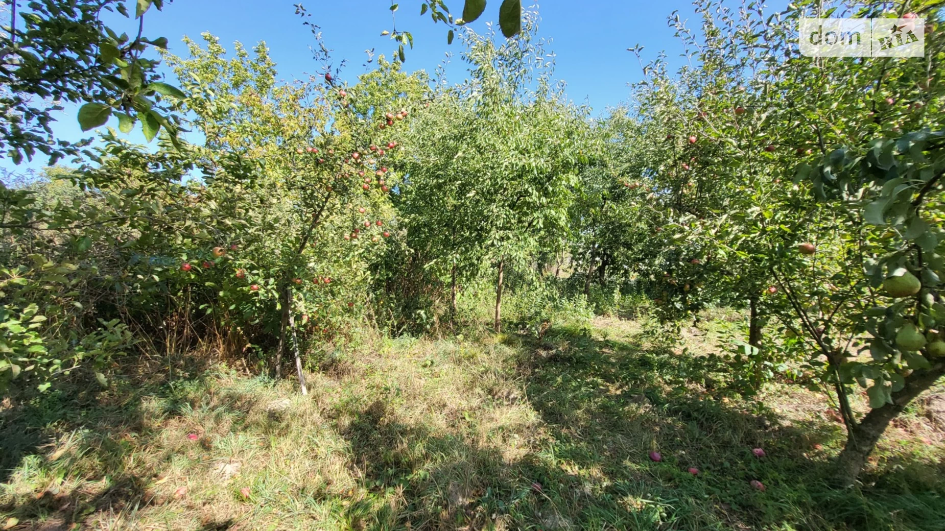 Продается земельный участок 12 соток в Винницкой области, цена: 24000 $ - фото 3