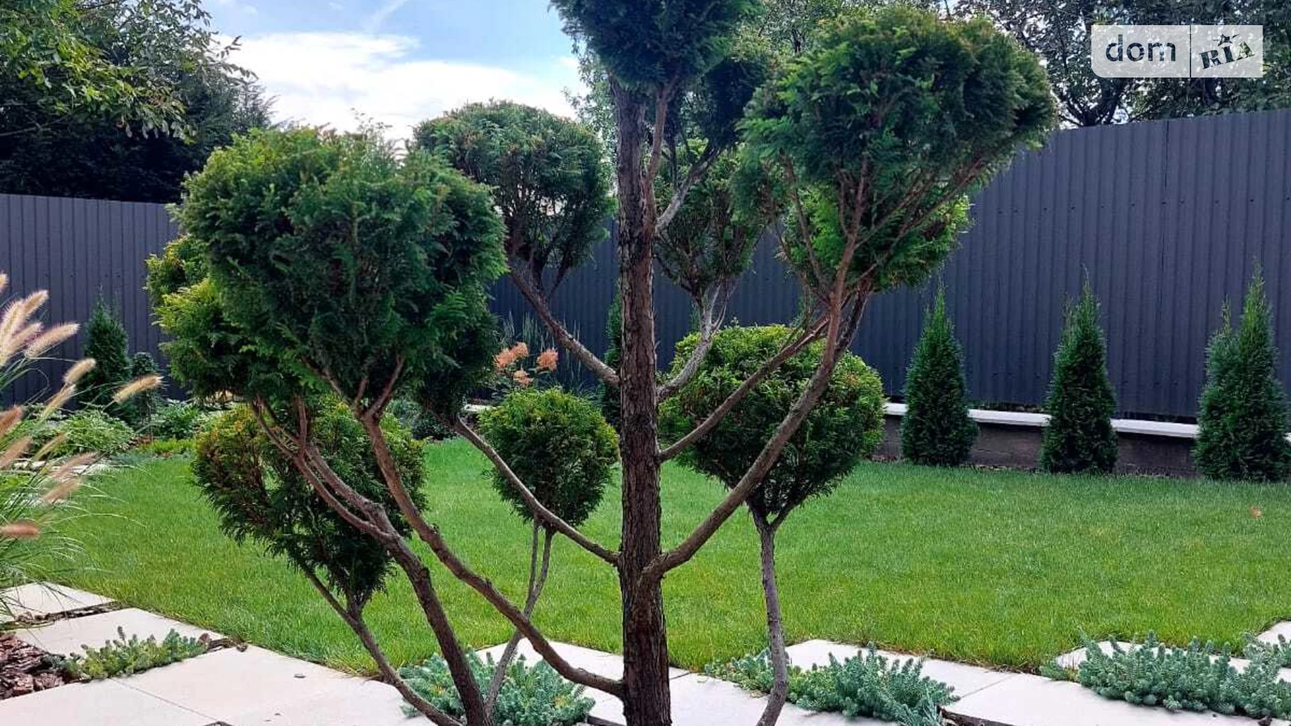 ул. Северная БАМ Ужгород, цена: 280000 $ - фото 4