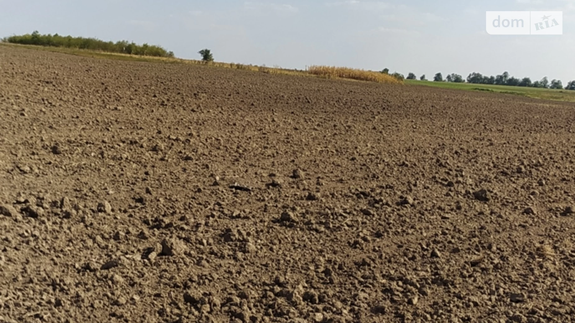 Продається земельна ділянка 25 соток у Хмельницькій області, цена: 2000 $ - фото 2