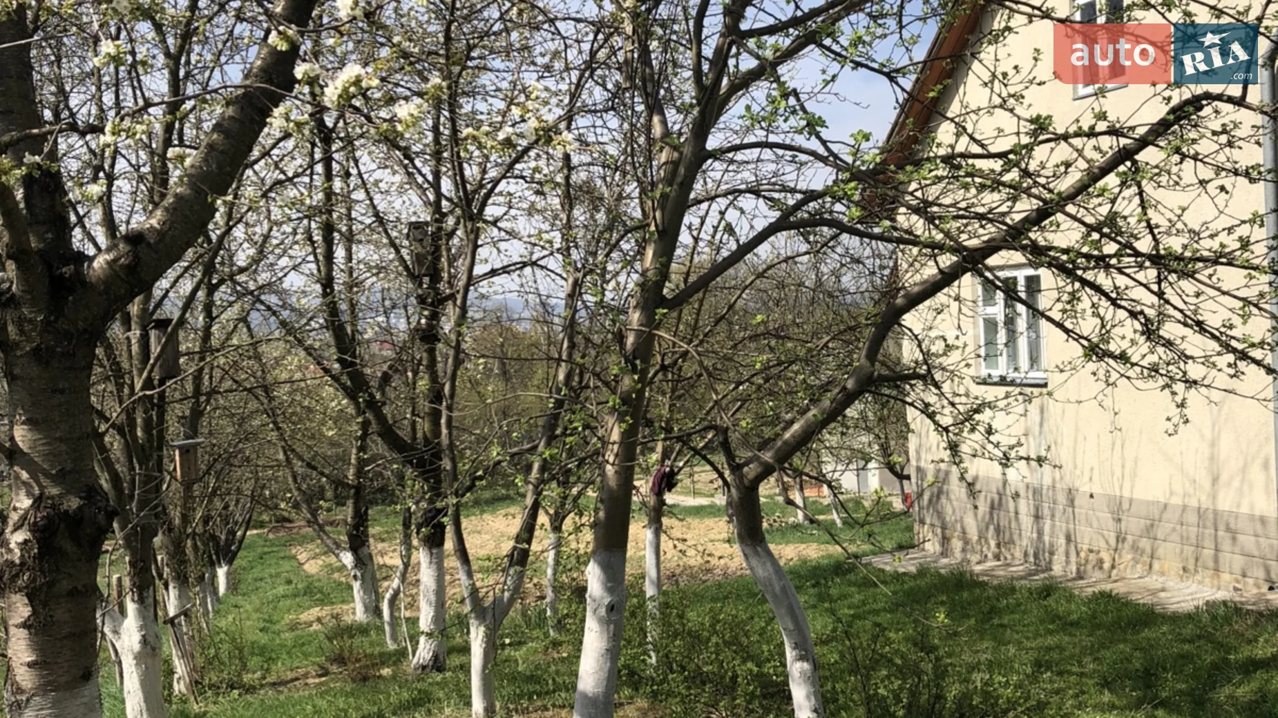 Продается дом на 3 этажа 225.8 кв. м с террасой, цена: 52000 $ - фото 5