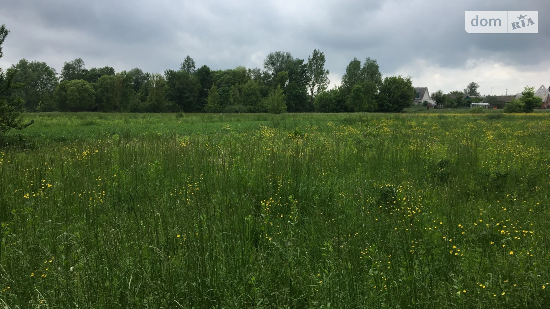 Продается земельный участок 33.86 соток в Винницкой области, цена: 12000 $ - фото 3