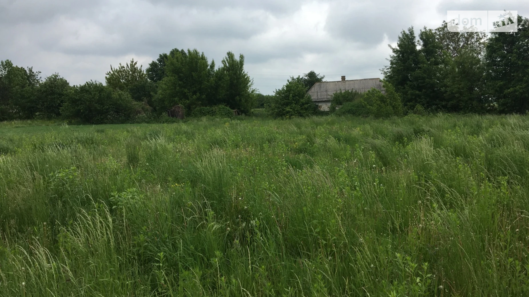 Продается земельный участок 33.86 соток в Винницкой области, цена: 12000 $ - фото 5