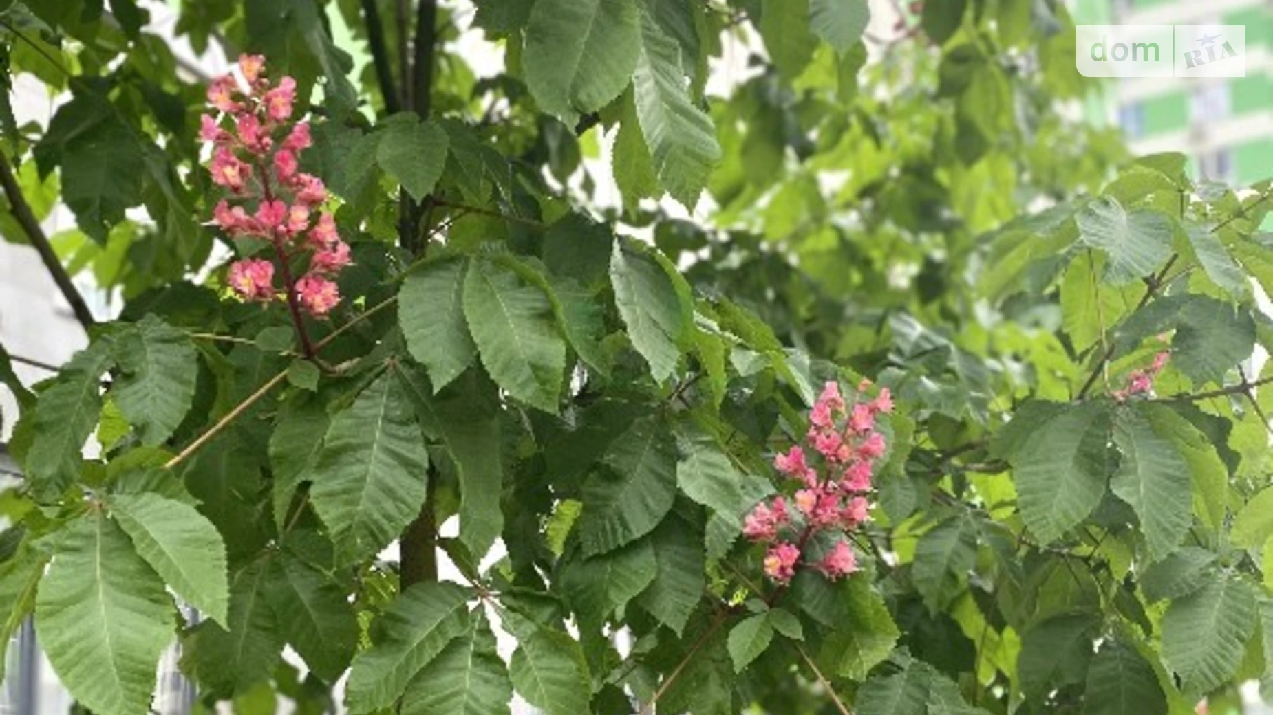 Продается 1-комнатная квартира 46.3 кв. м в Ирпене, ул. Университетская(Карла Маркса), 3/14 - фото 3