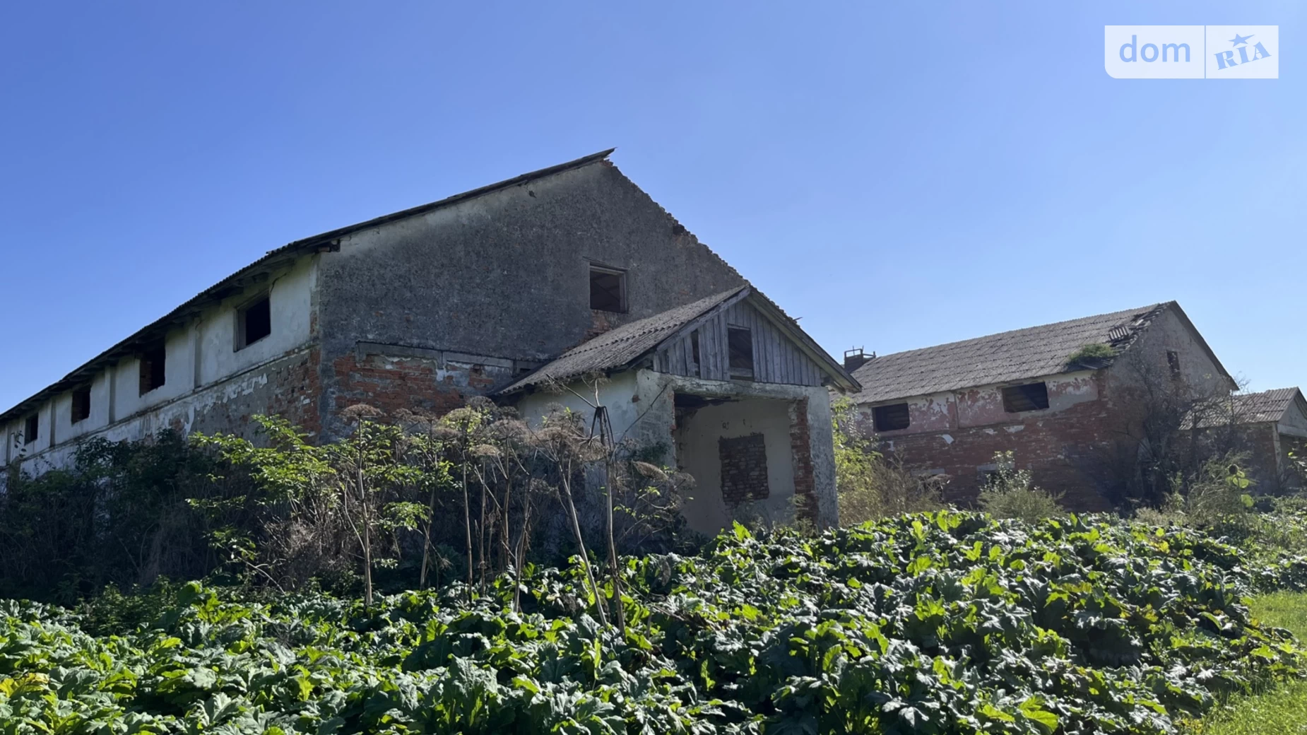 вул. Бойчука, 25В Грабовець (Богородчани), цена: 49000 $ - фото 5
