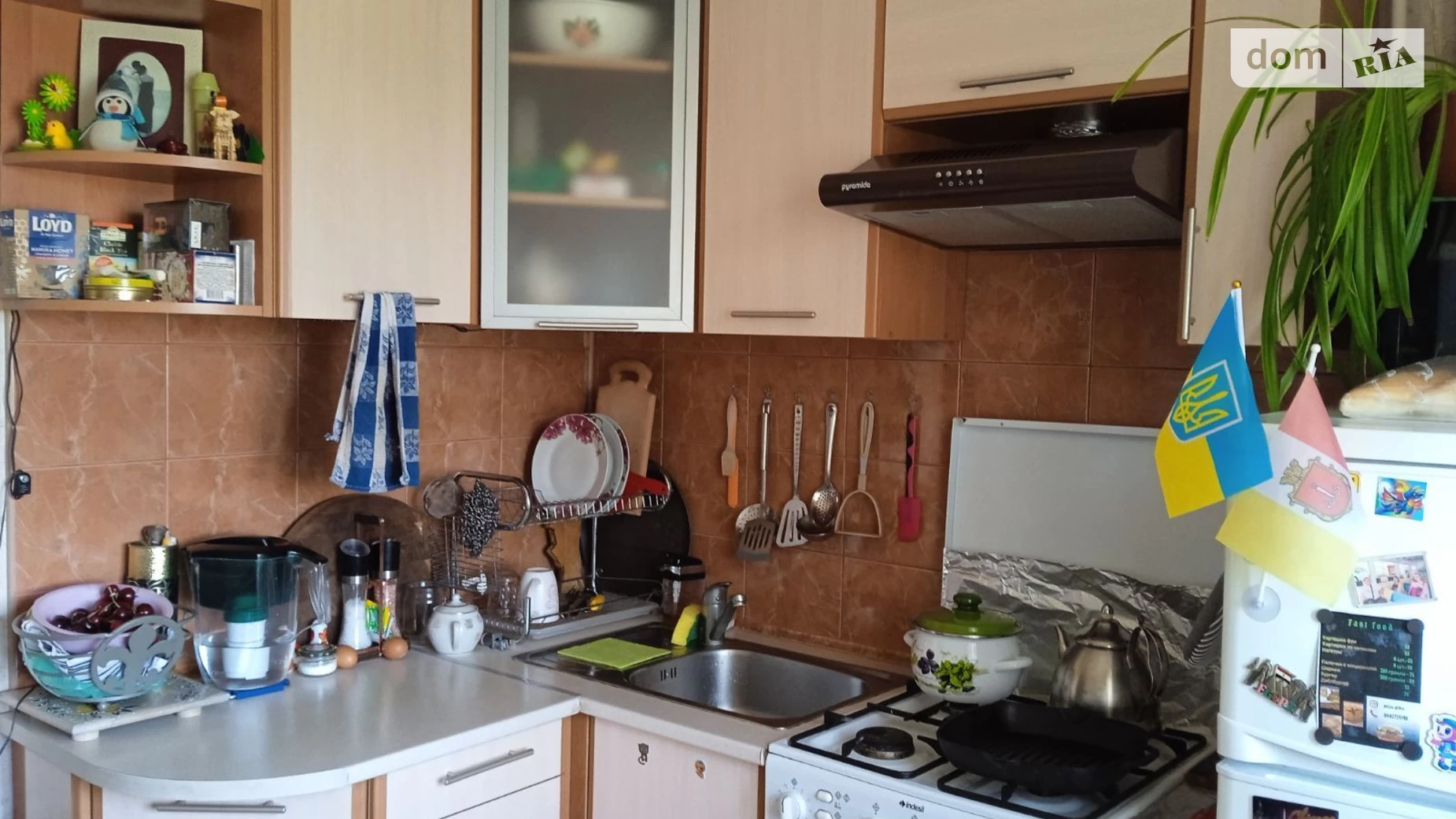 Продается 1-комнатная квартира 29.2 кв. м в Набережном, ул. Елисеева, 12 - фото 3